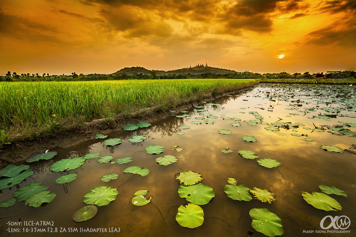 Sony Vario-Sonnar T* 16-35mm F2.8 ZA SSM II sample photo. 2nd sony digital workshop ! (ភ្នំពេញ) photography
