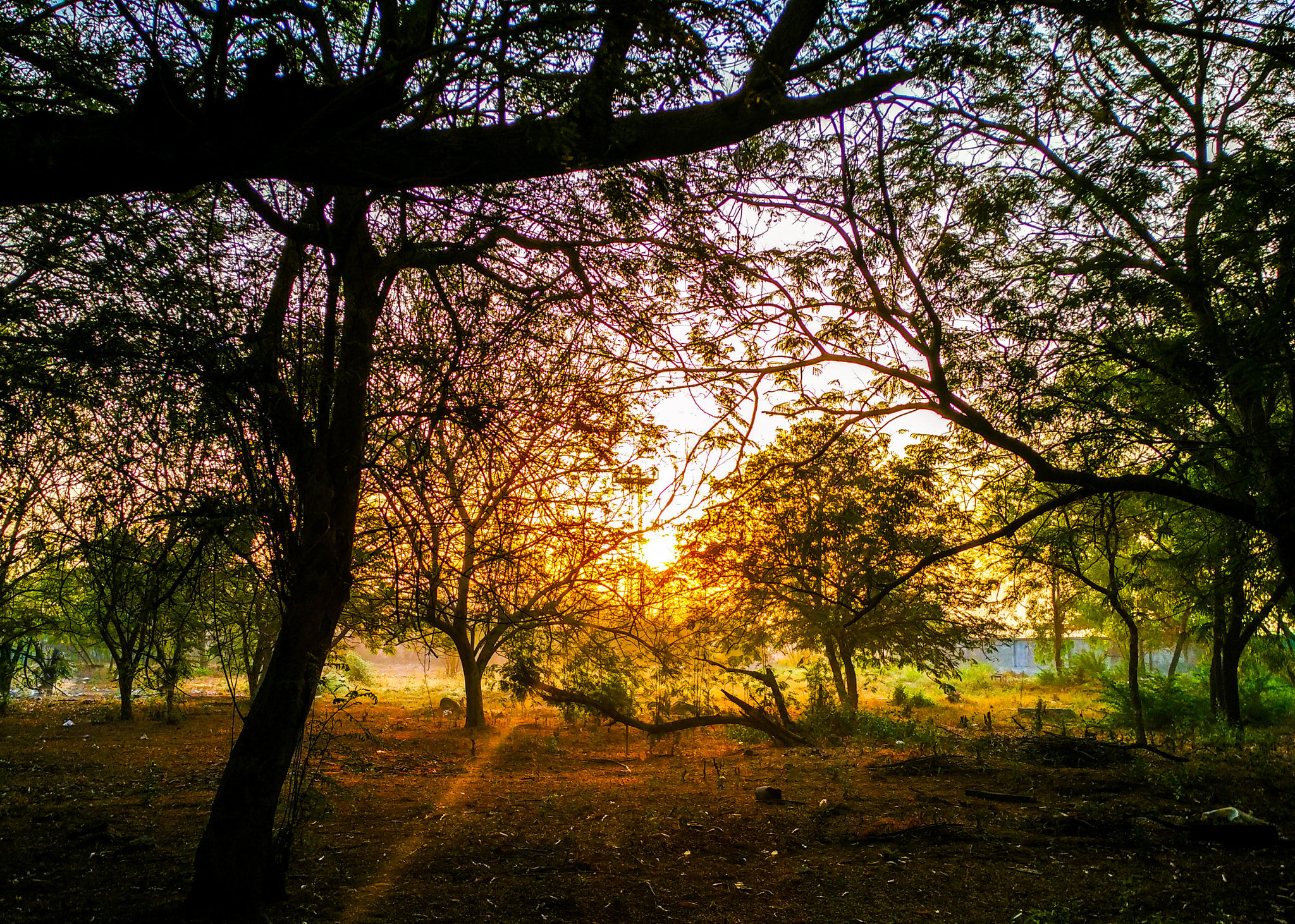 Xiaomi Mi 4i sample photo. Sunrise photography