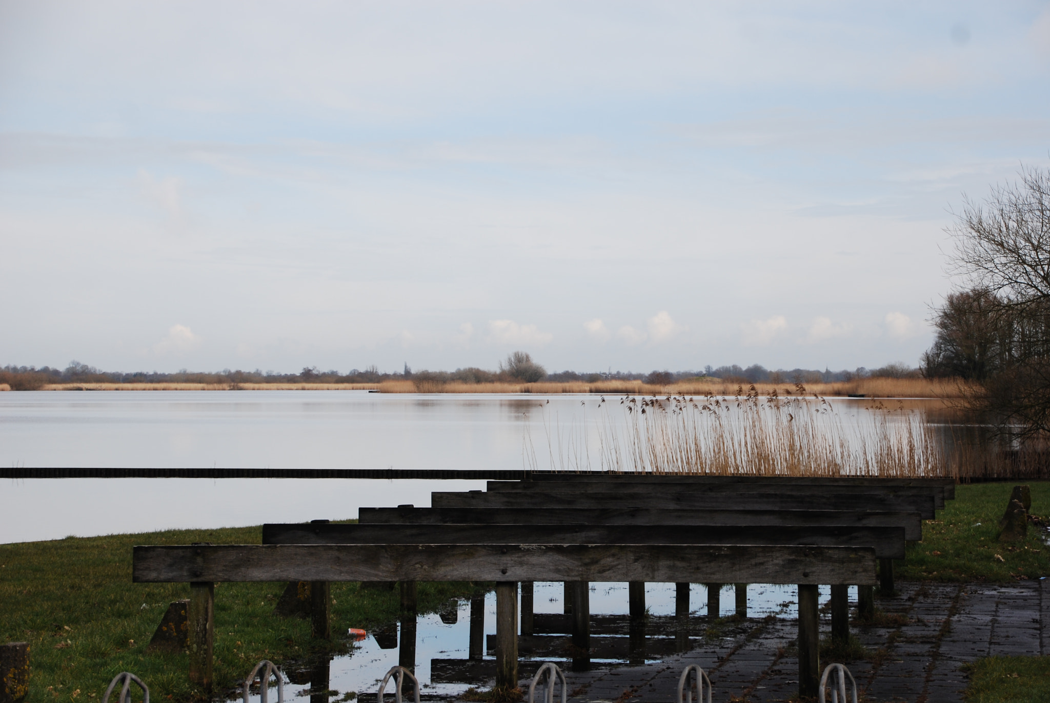 Nikon D40X sample photo