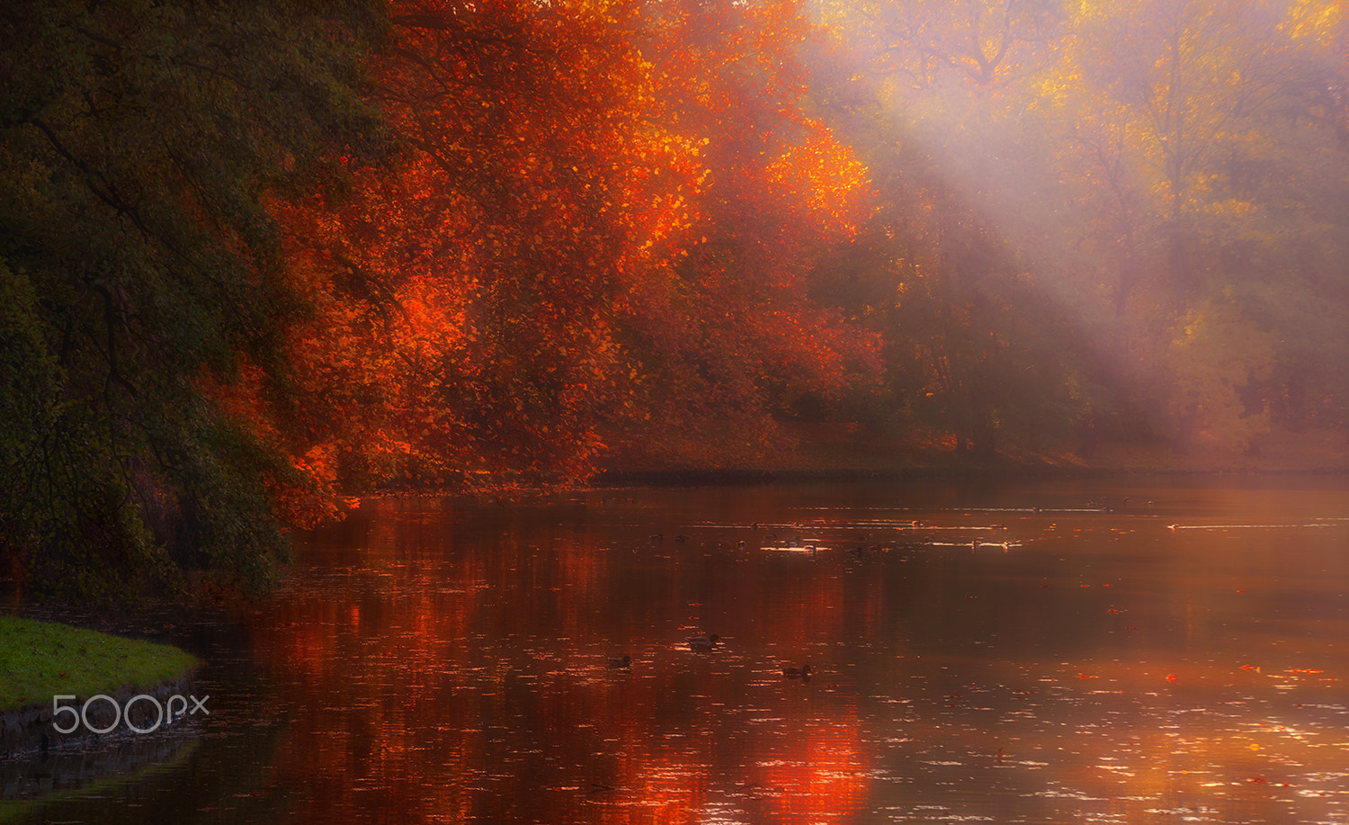 Tamron SP AF 70-200mm F2.8 Di LD (IF) MACRO sample photo. Autumn lake lights photography