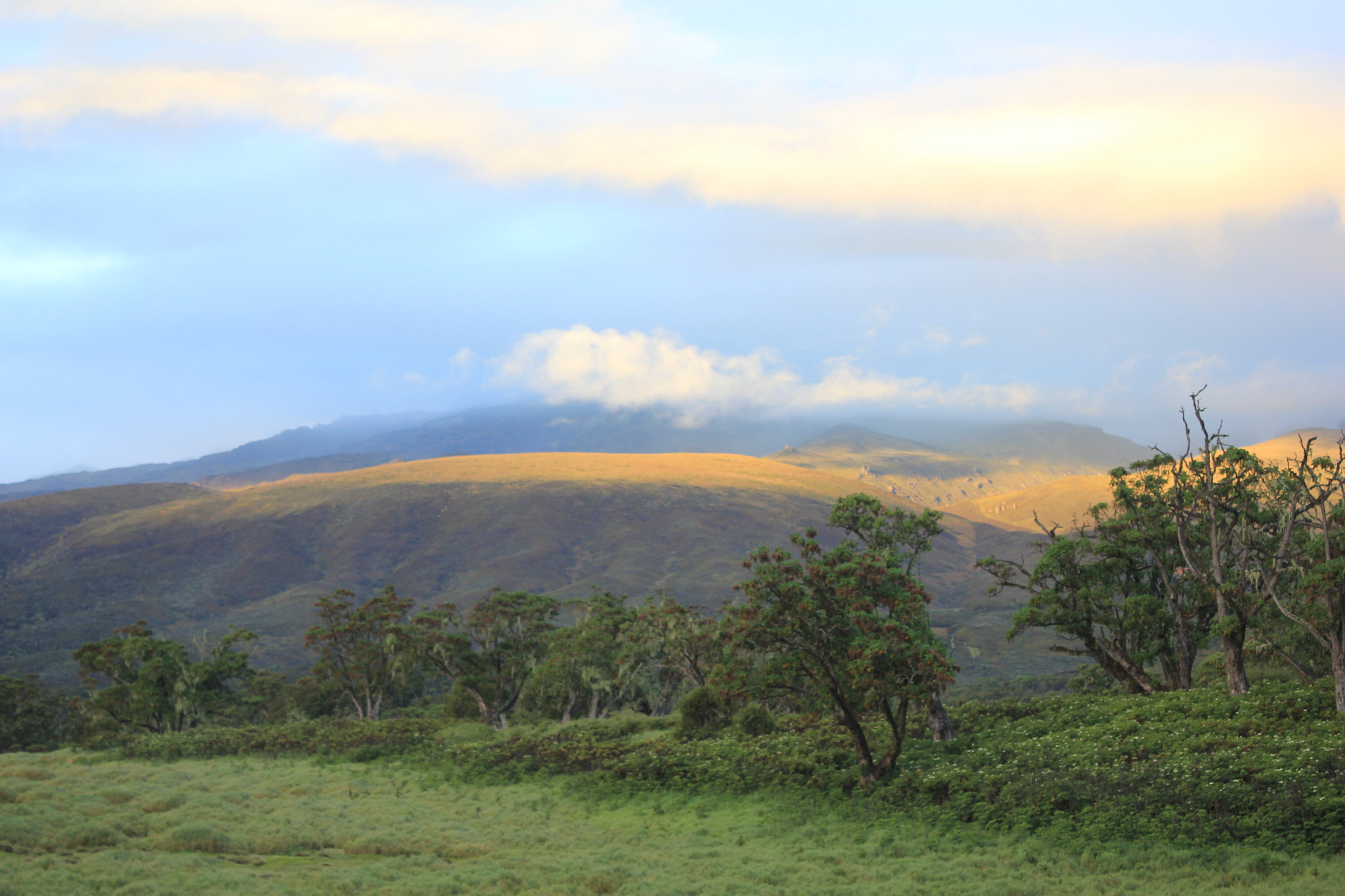 Canon EOS 550D (EOS Rebel T2i / EOS Kiss X4) sample photo. First sunlight on mountain photography