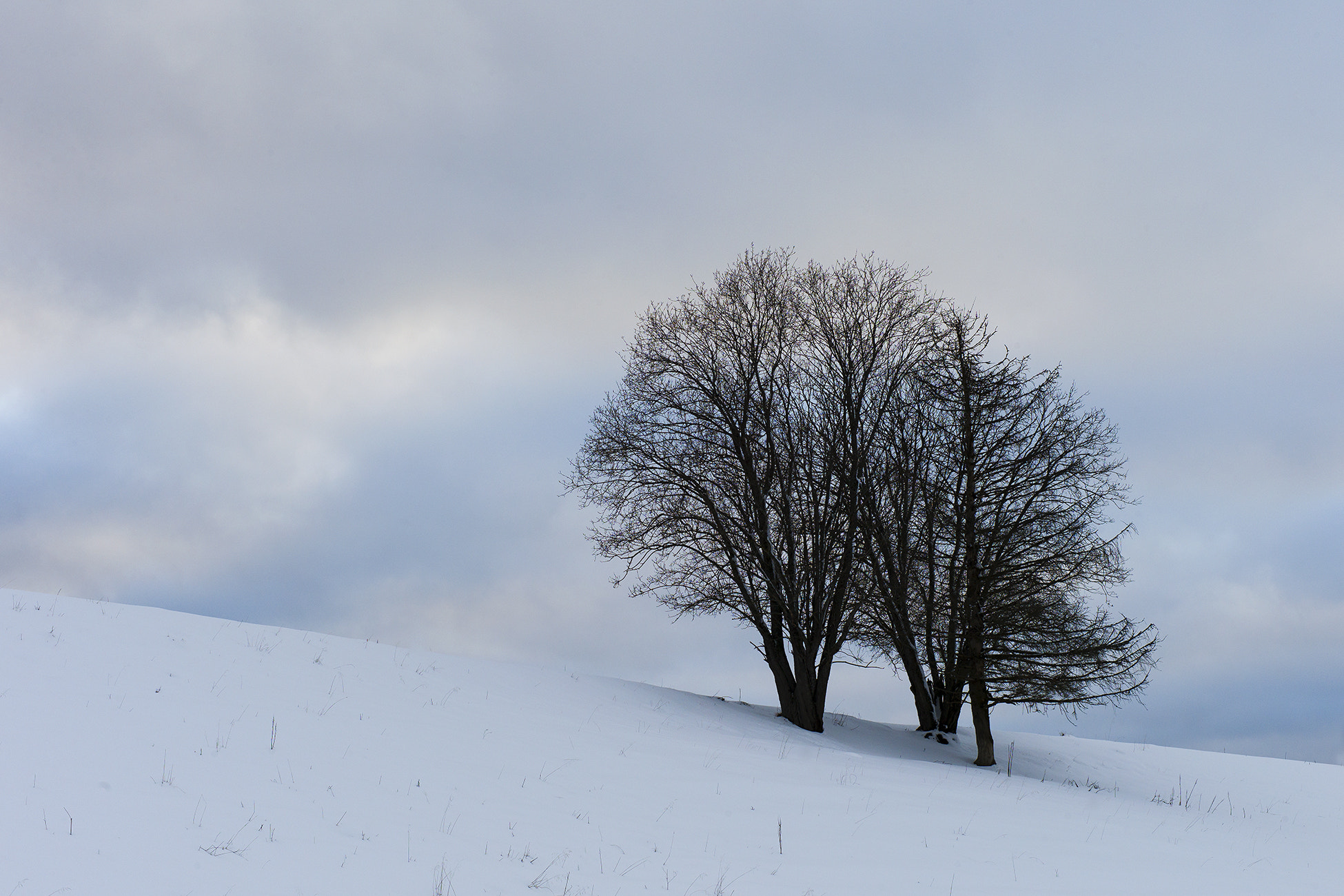 Leica M9 + Noctilux-M 50mm f/1 sample photo. Calm photography