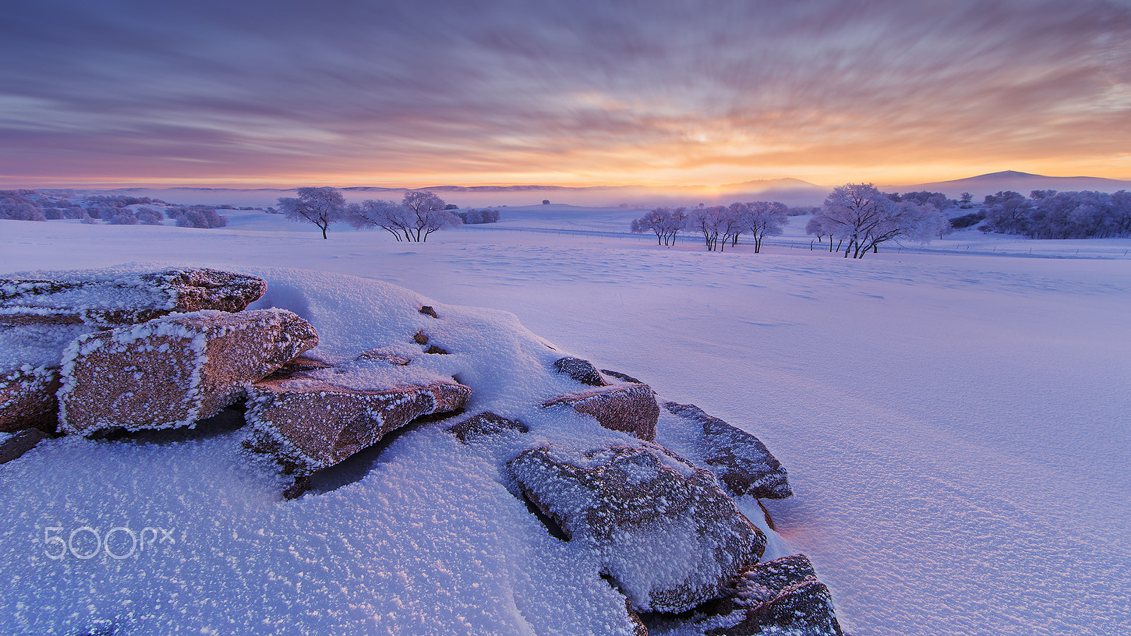 Canon EF 14mm F2.8L II USM sample photo. Morning photography
