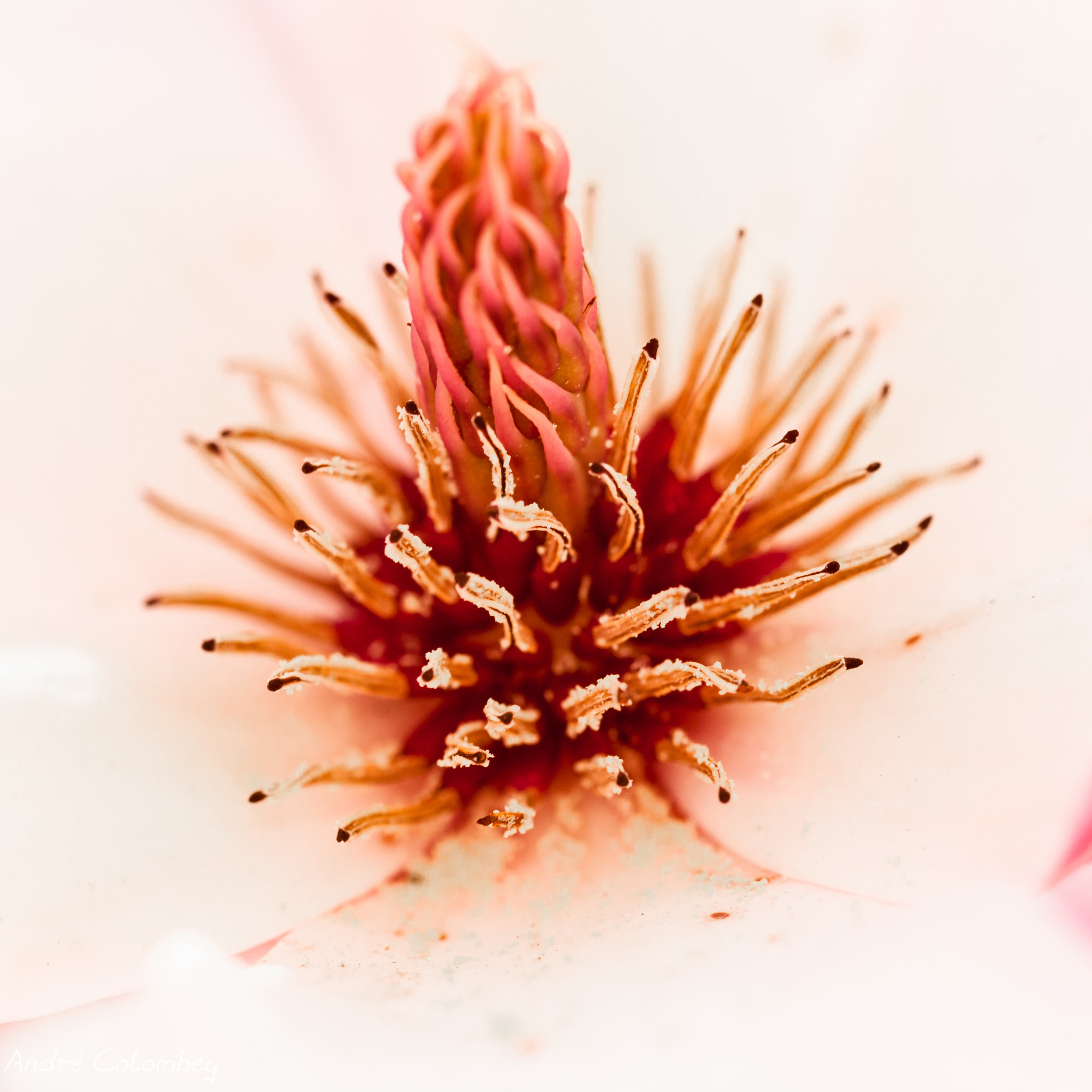 Sigma 50mm f/2.8 EX sample photo. Inside photography