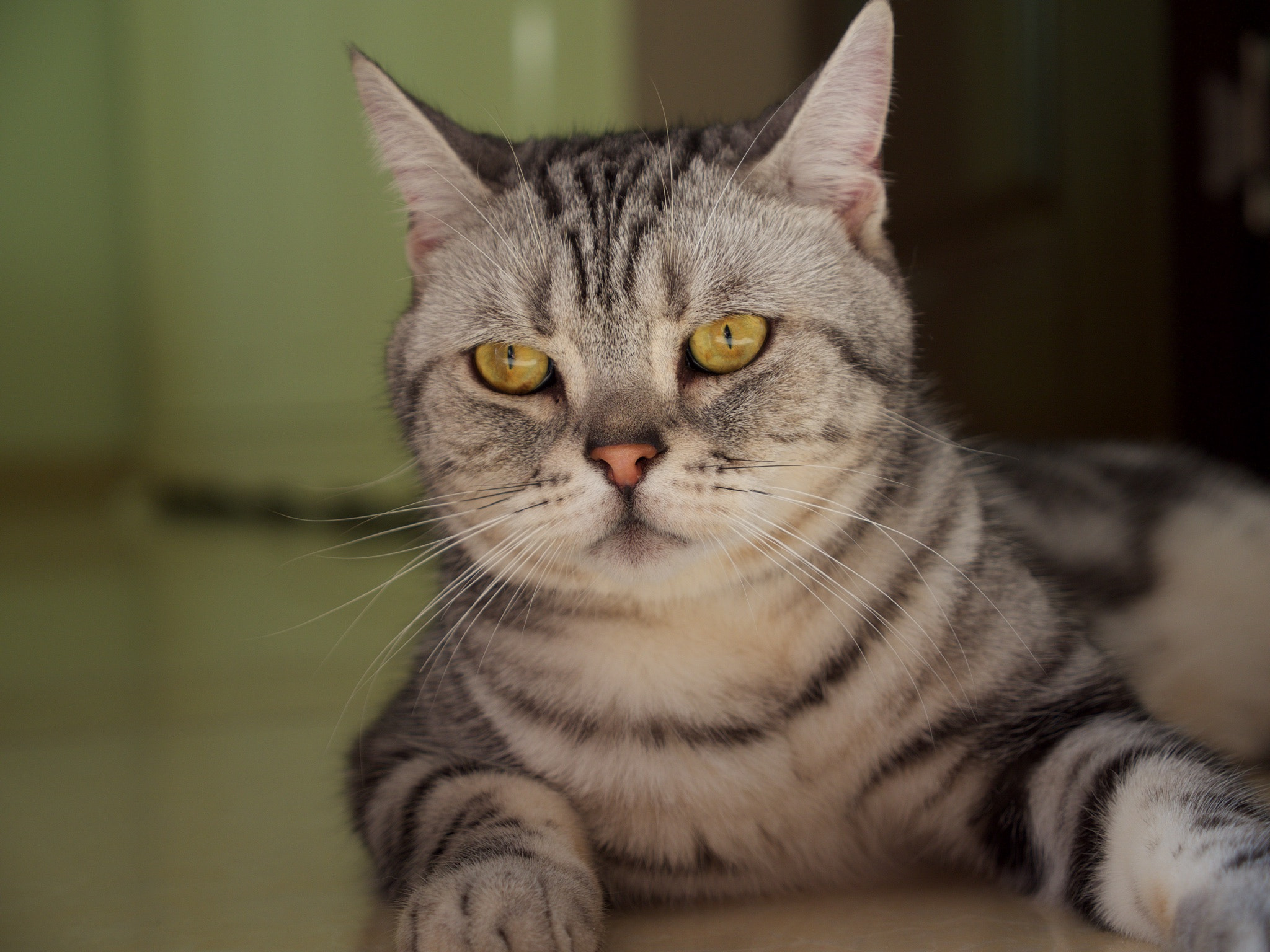 Panasonic Lumix G X Vario 12-35mm F2.8 ASPH Power OIS sample photo