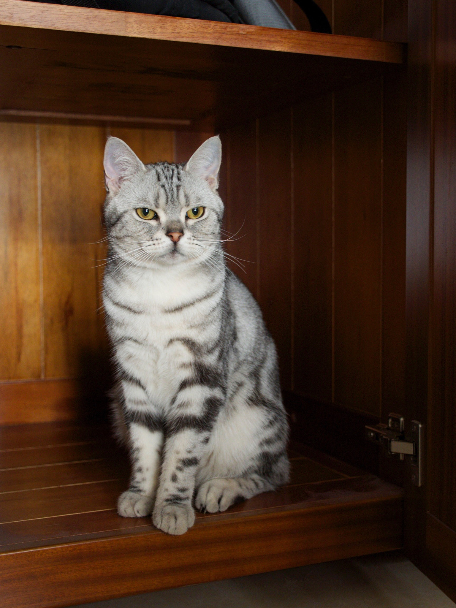 Panasonic Lumix G X Vario 12-35mm F2.8 ASPH Power OIS sample photo