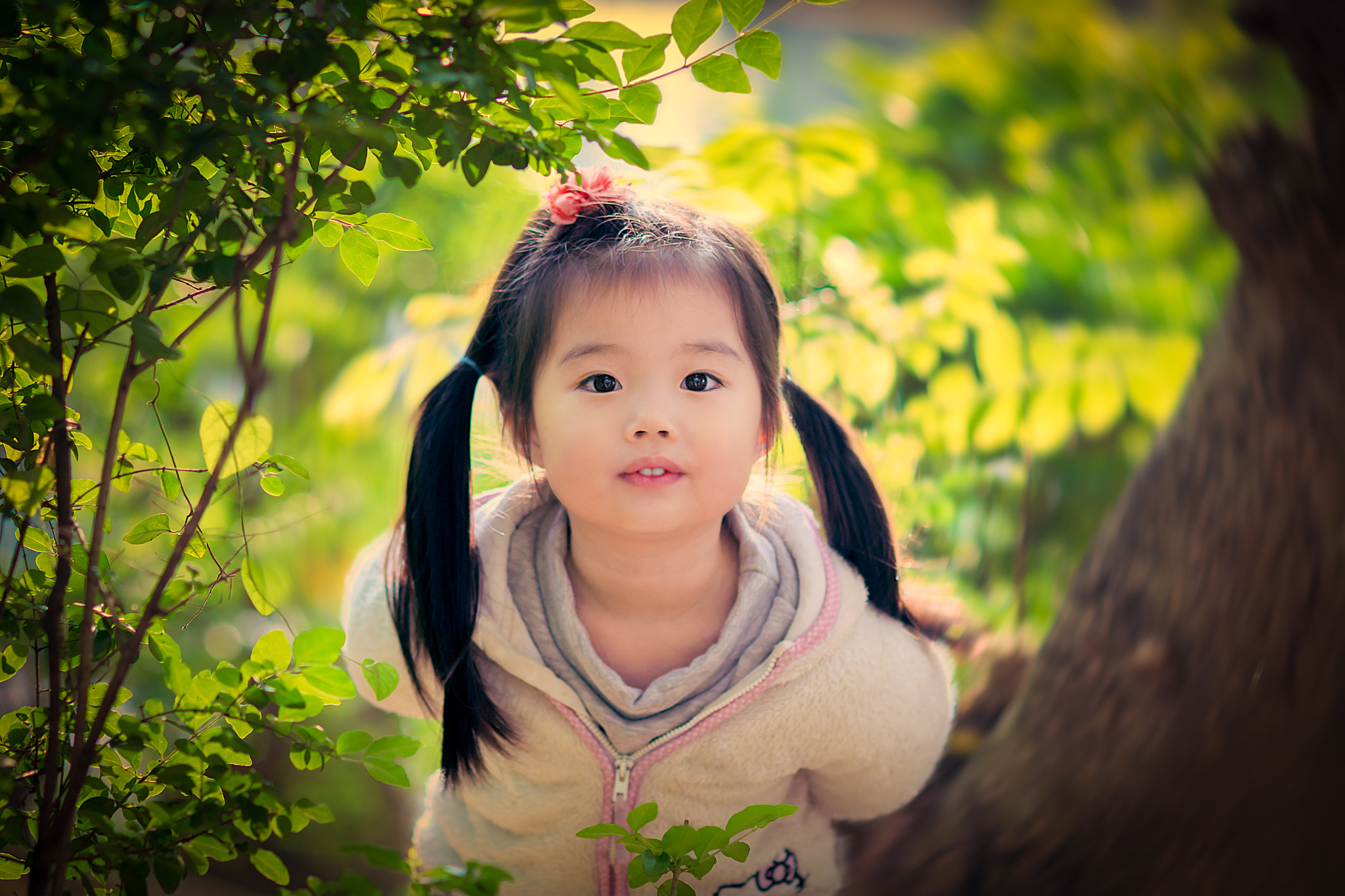 Nikon D7200 + Nikon AF Nikkor 105mm F2D DC sample photo. Peek-a-boo photography