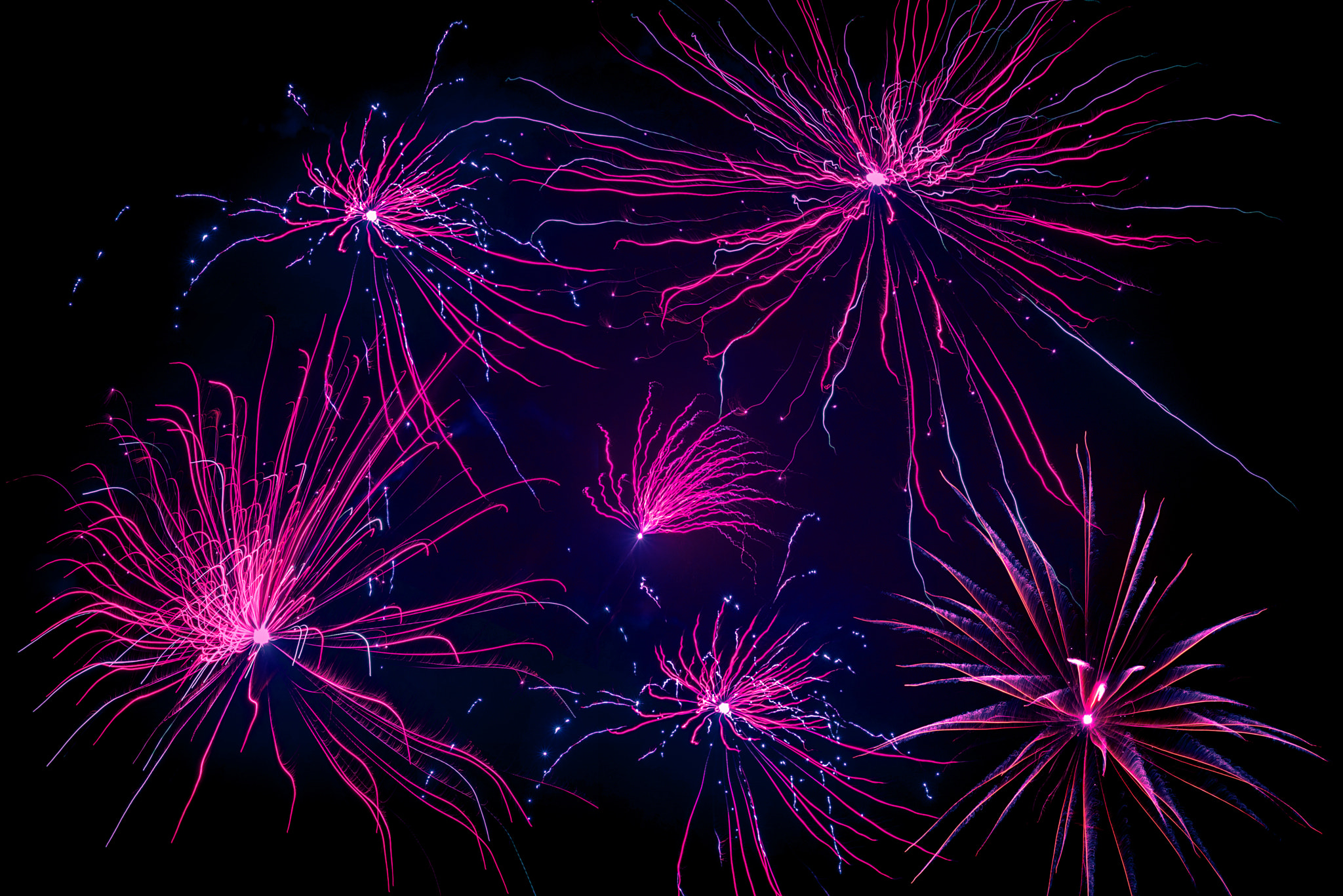 Sony a7R + Sony 50mm F1.4 sample photo. Violet fireworks on black background photography