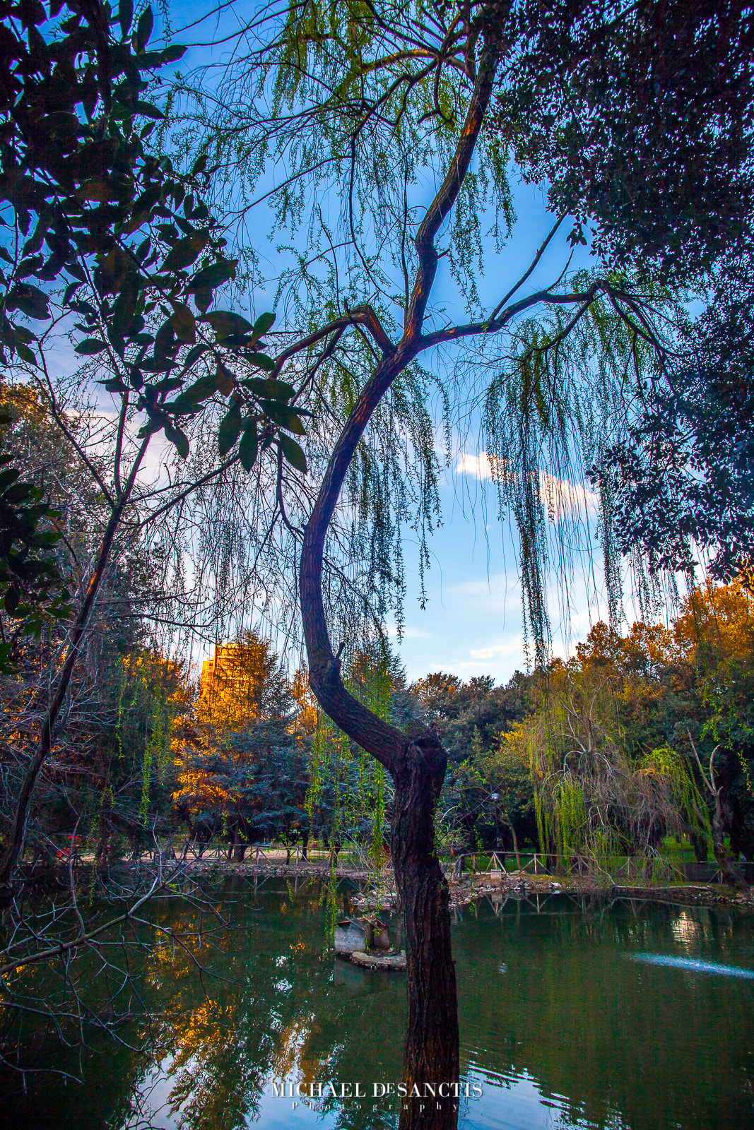 Tamron AF 19-35mm f/3.5-4.5 sample photo. Il salice piangente photography