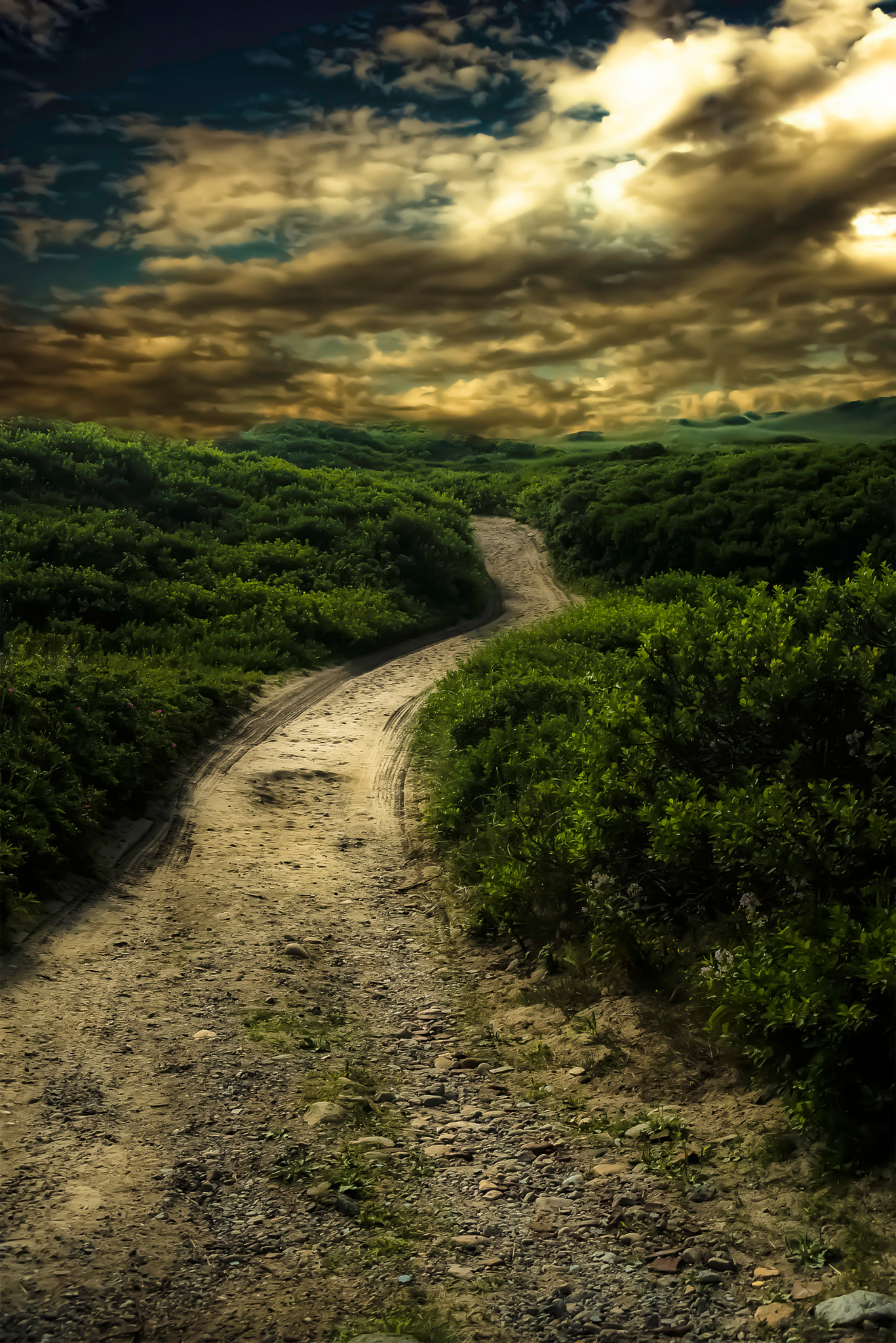 Nikon D800 + AF Zoom-Nikkor 28-200mm f/3.5-5.6G IF-ED sample photo. Dirt road in block island ss photography