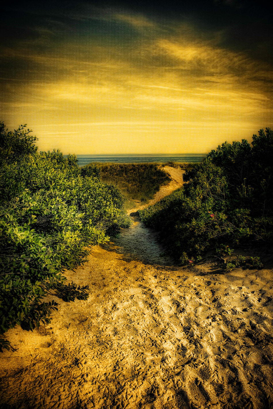 Nikon D800 + AF Zoom-Nikkor 28-200mm f/3.5-5.6D IF sample photo. Beach path #ss photography
