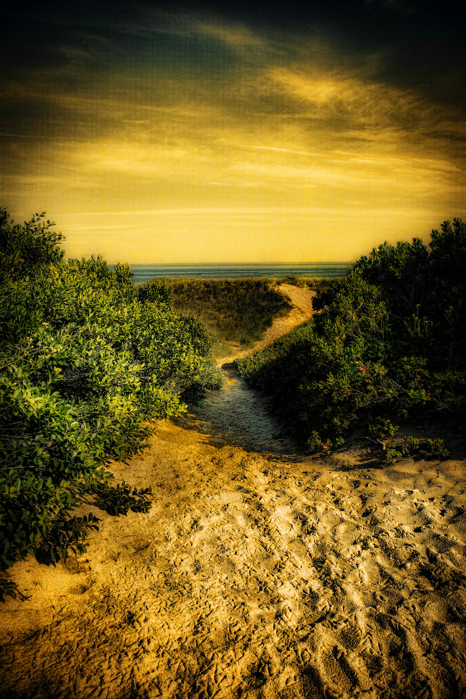 AF Zoom-Nikkor 28-200mm f/3.5-5.6D IF sample photo. Beach path #ss photography