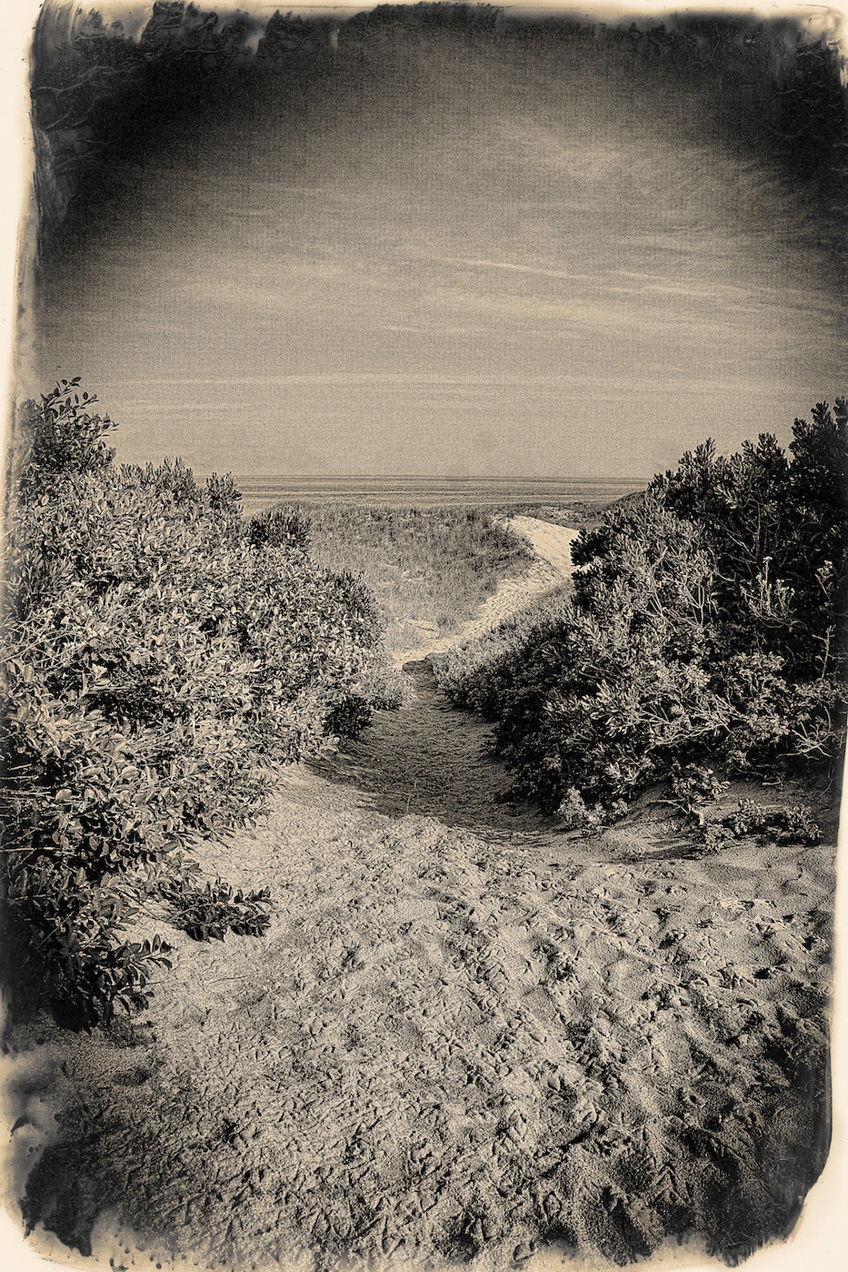 Nikon D800 + AF Zoom-Nikkor 28-200mm f/3.5-5.6D IF sample photo. Beach path #ss photography