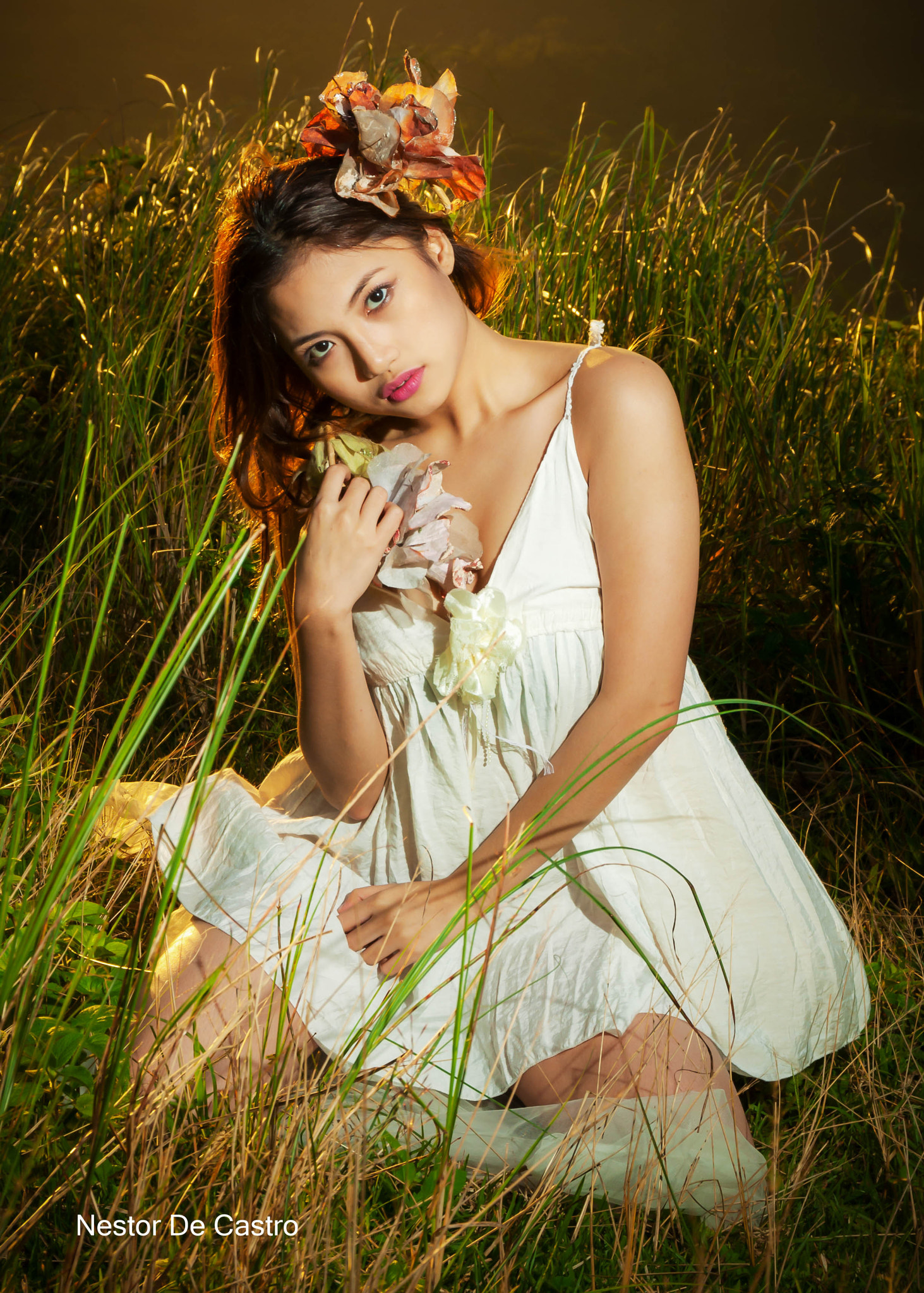 Sigma 17-70mm F2.8-4 DC Macro OS HSM | C sample photo. Thea photography