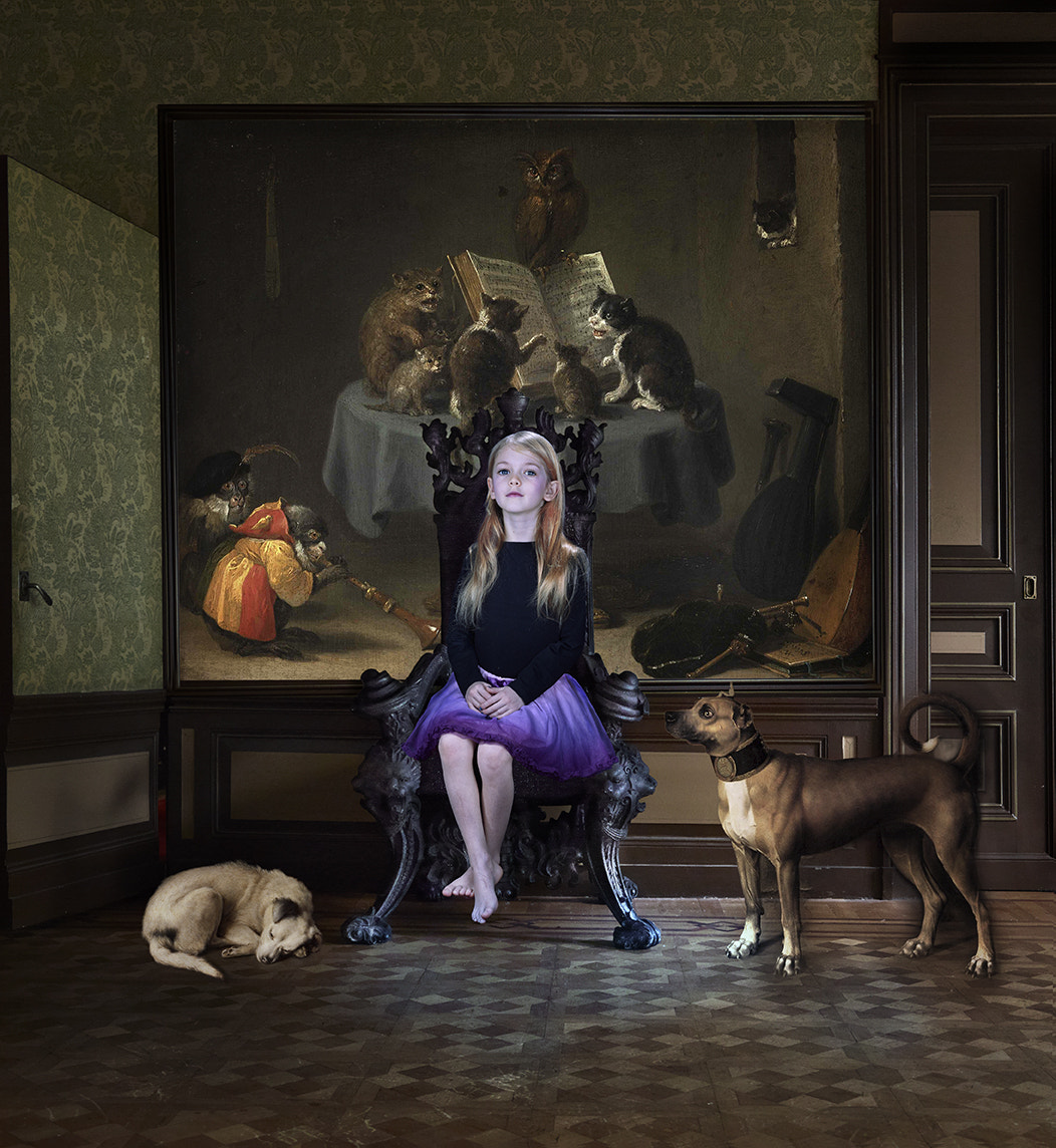 Phase One P40+ sample photo. Dog sitter photography