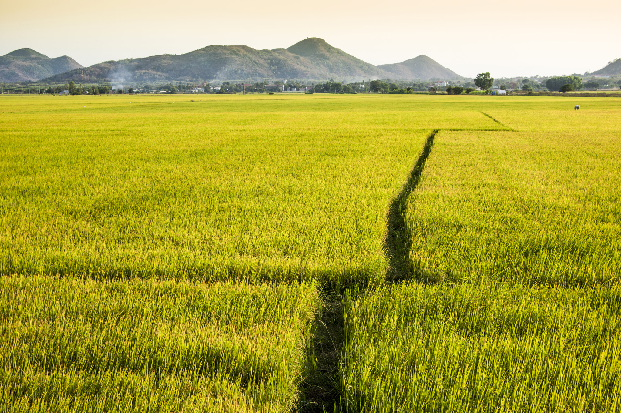 Pentax smc DA 16-45mm F4 ED AL sample photo. Aa photography