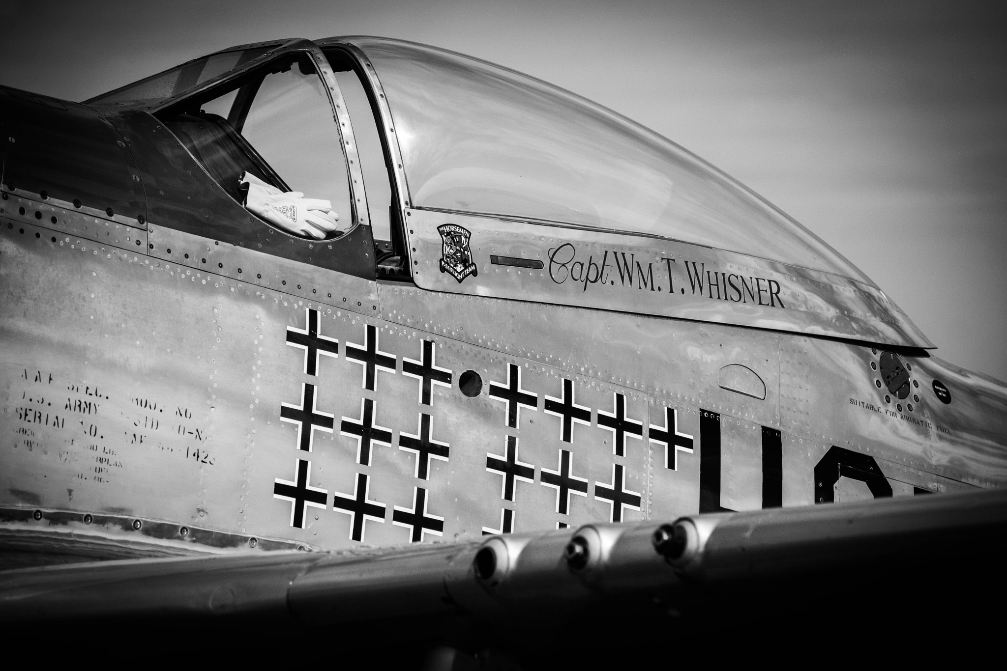 Nikon D3X sample photo. Mustang p51 photography