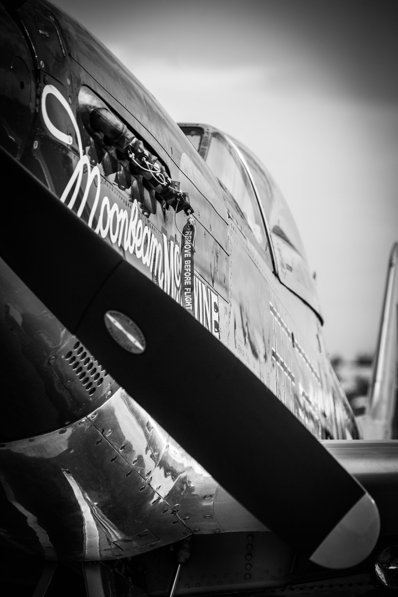 Nikon D3X sample photo. Mustang p51 photography