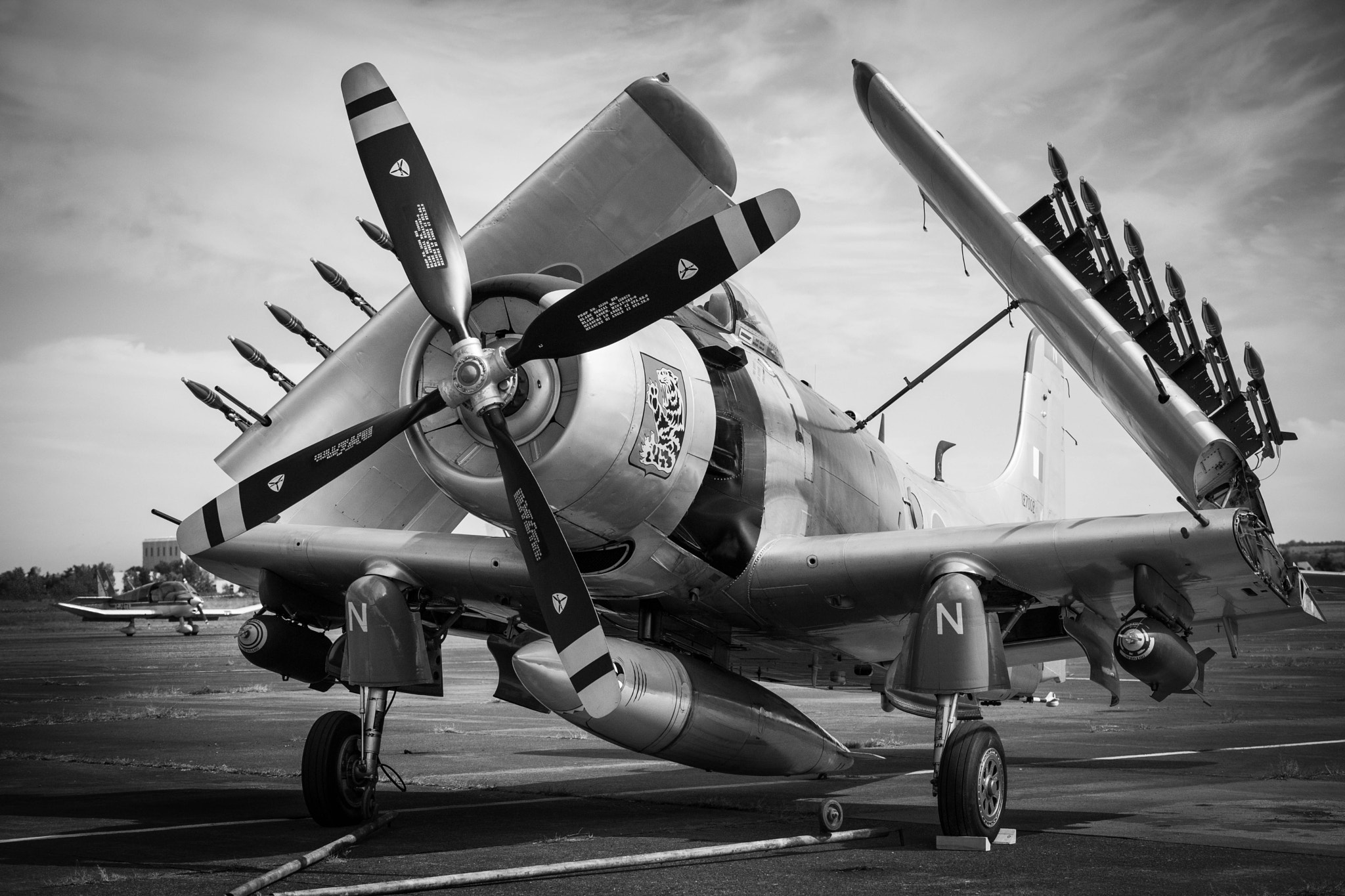 Nikon D3X sample photo. French skyraider photography