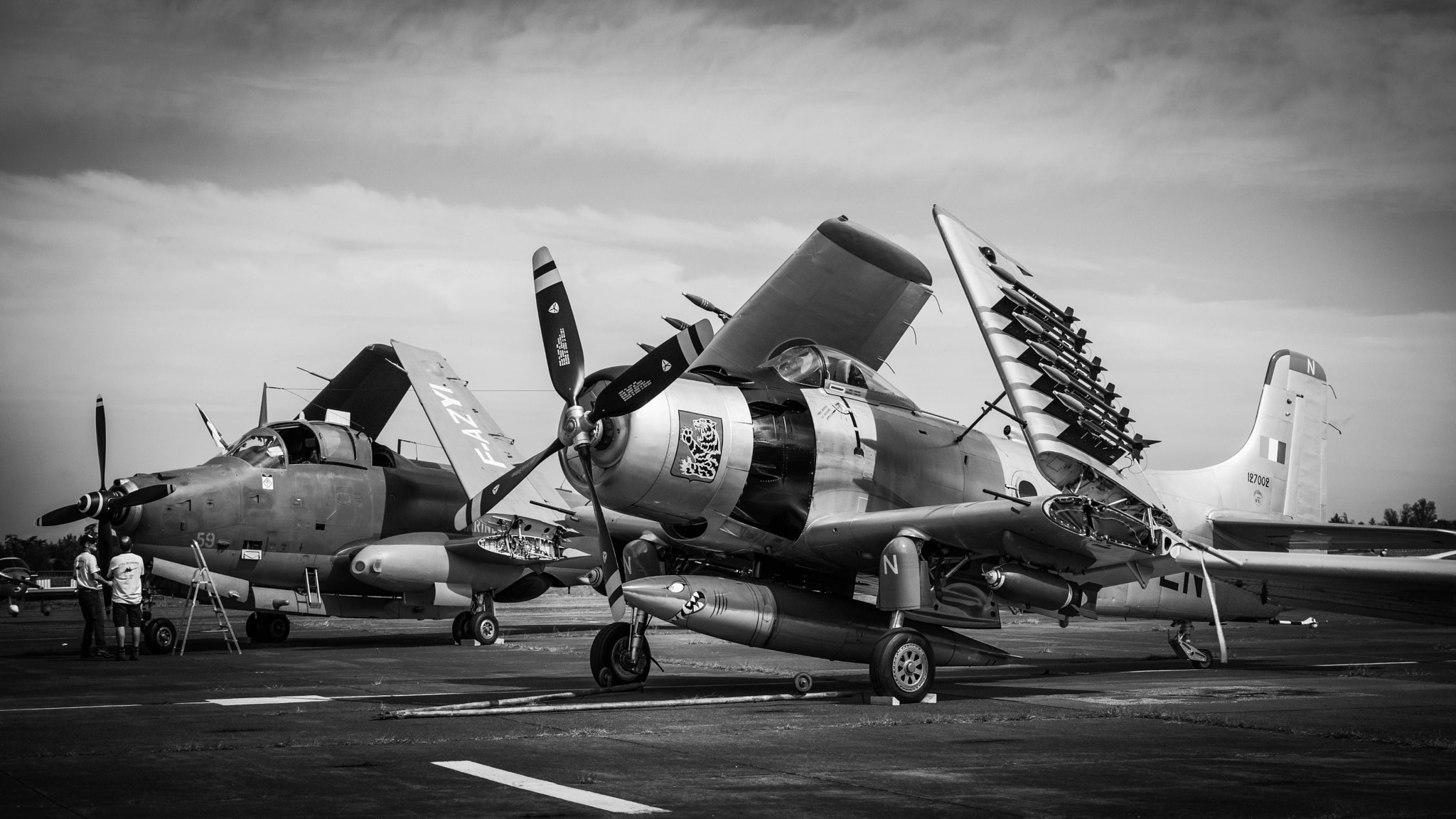 Nikon D3X sample photo. French skyraider photography