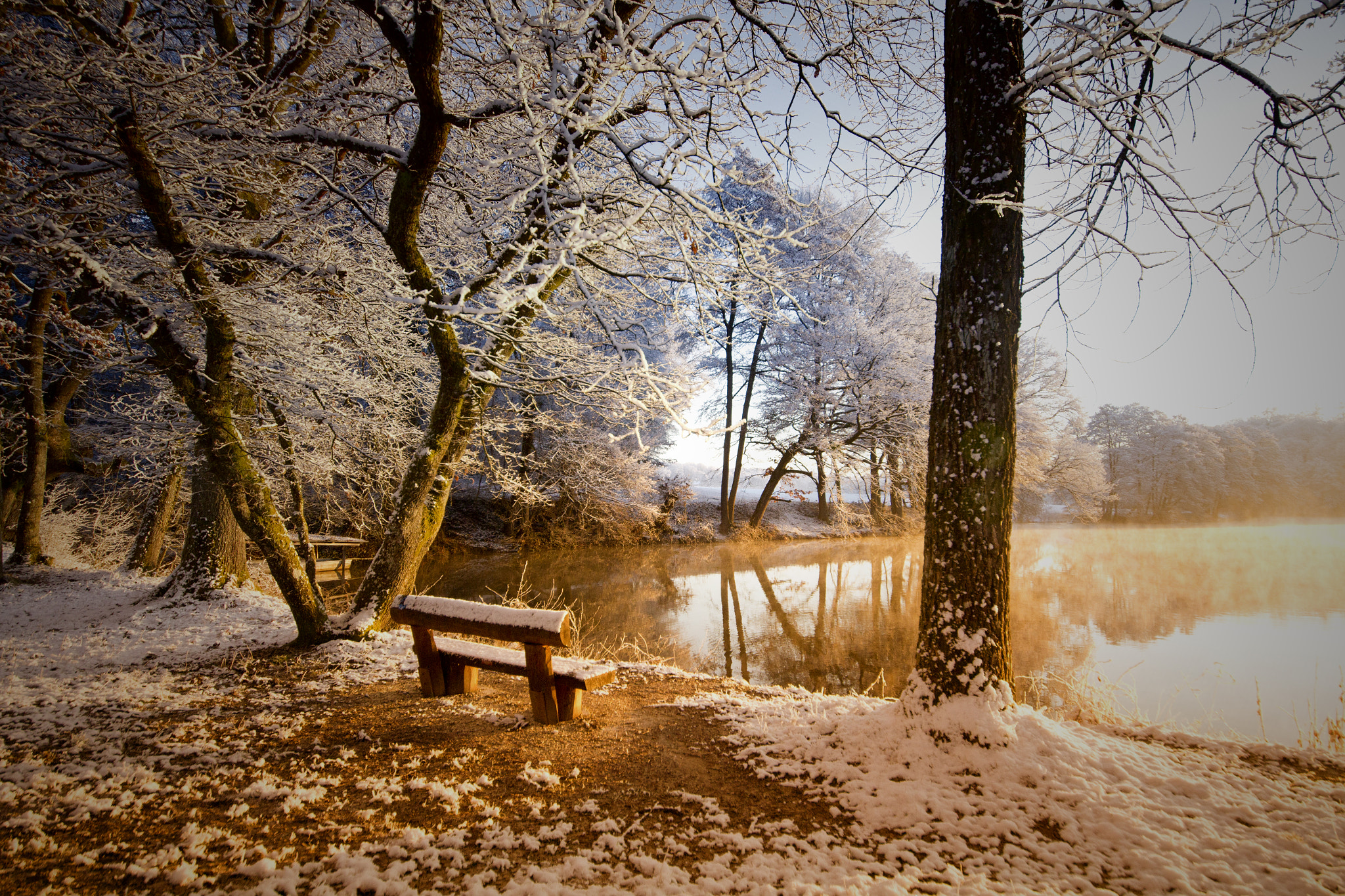 Sigma 12-24mm F4.5-5.6 II DG HSM sample photo. Bonfol photography