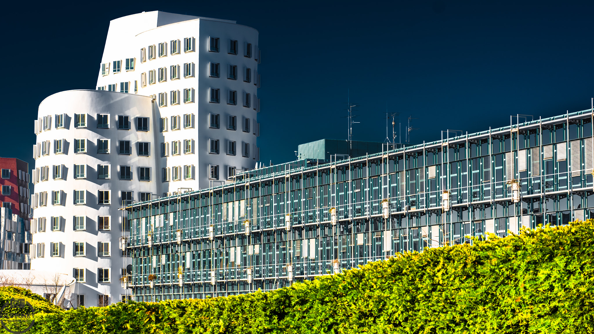Nikon D5200 + Sigma 50mm F1.4 DG HSM Art sample photo. Stringent photography