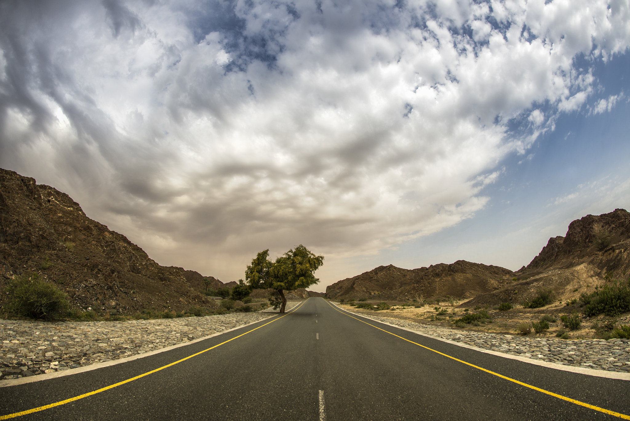 Samyang 12mm F2.8 ED AS NCS Fisheye sample photo. I'll keep on walking the road photography