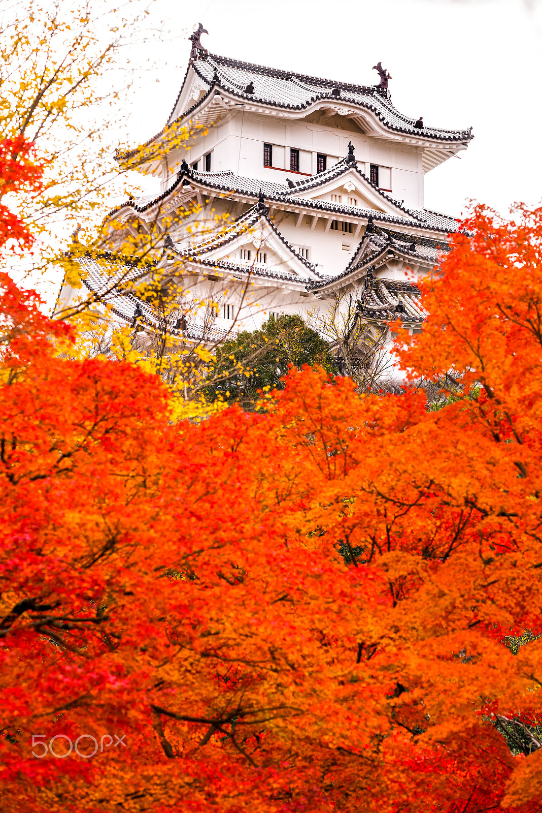 Sony a7R + Minolta/Sony AF 70-200mm F2.8 G sample photo. Himeji castle, japan. photography