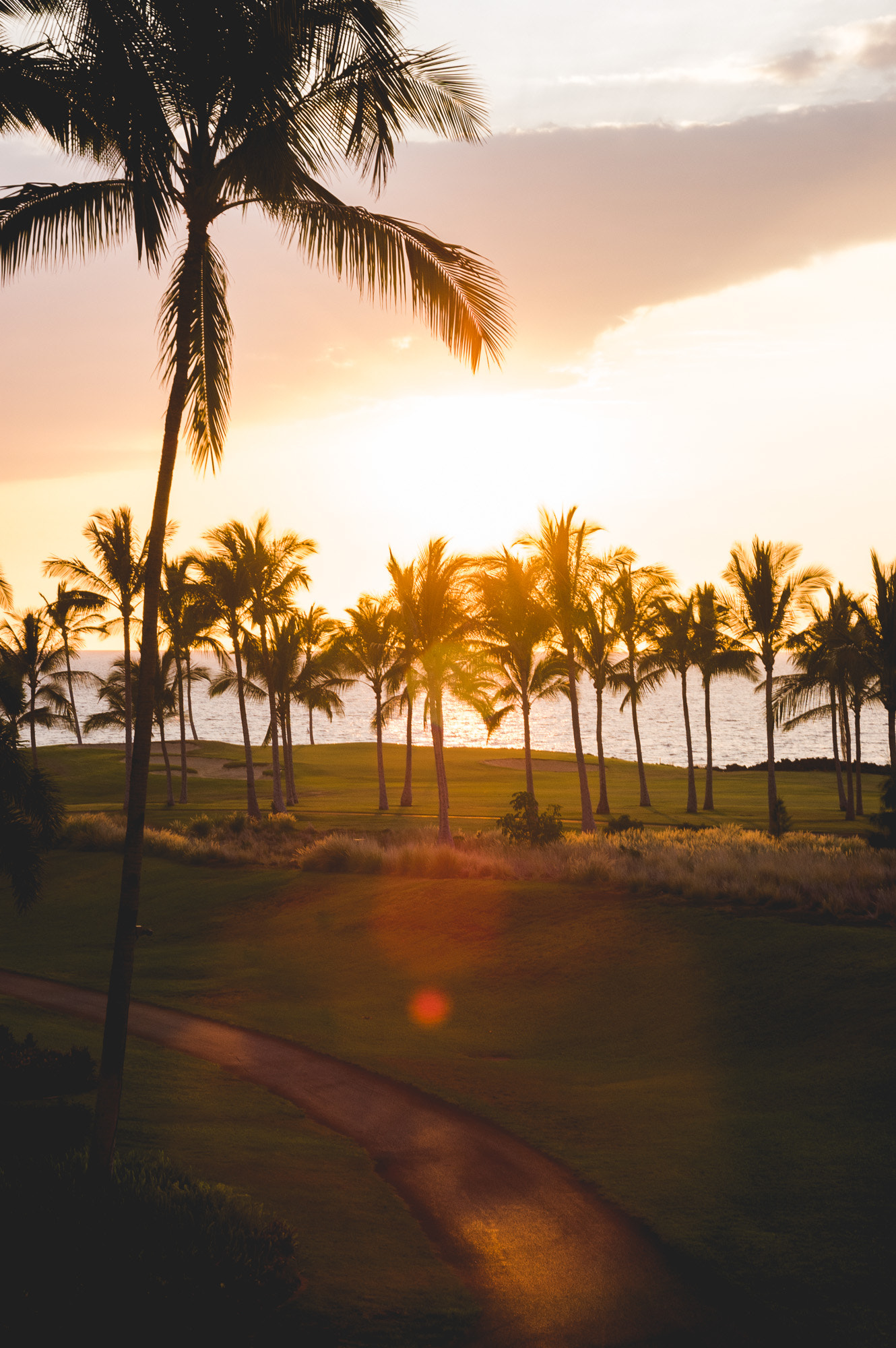 Nikon D40 + AF Nikkor 50mm f/1.8 N sample photo. Sunset over palm trees photography