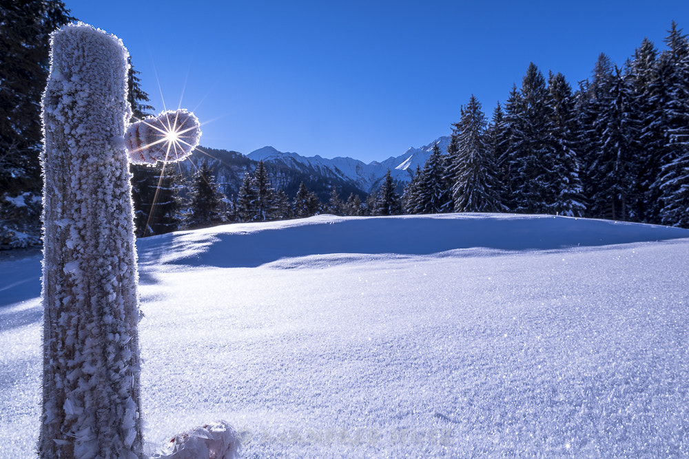 Nikon D810 + Nikon AF Nikkor 20mm F2.8D sample photo. Swiss-winter-alps photography