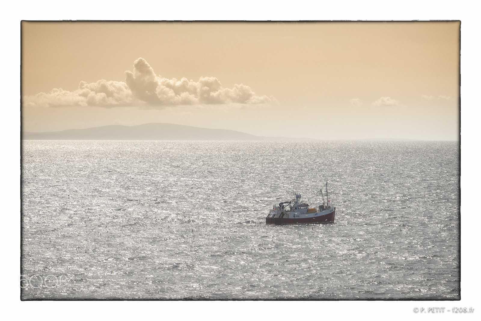 Nikon D800 + Tamron SP 90mm F2.8 Di VC USD 1:1 Macro sample photo. Fishing around shetland photography