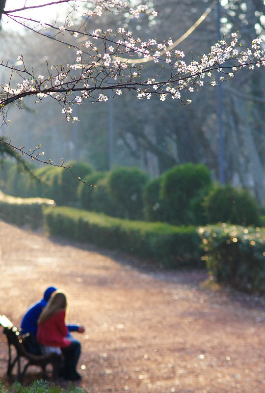 Sony SLT-A55 (SLT-A55V) + Minolta AF 70-210mm F4 Macro sample photo. The spring has come photography