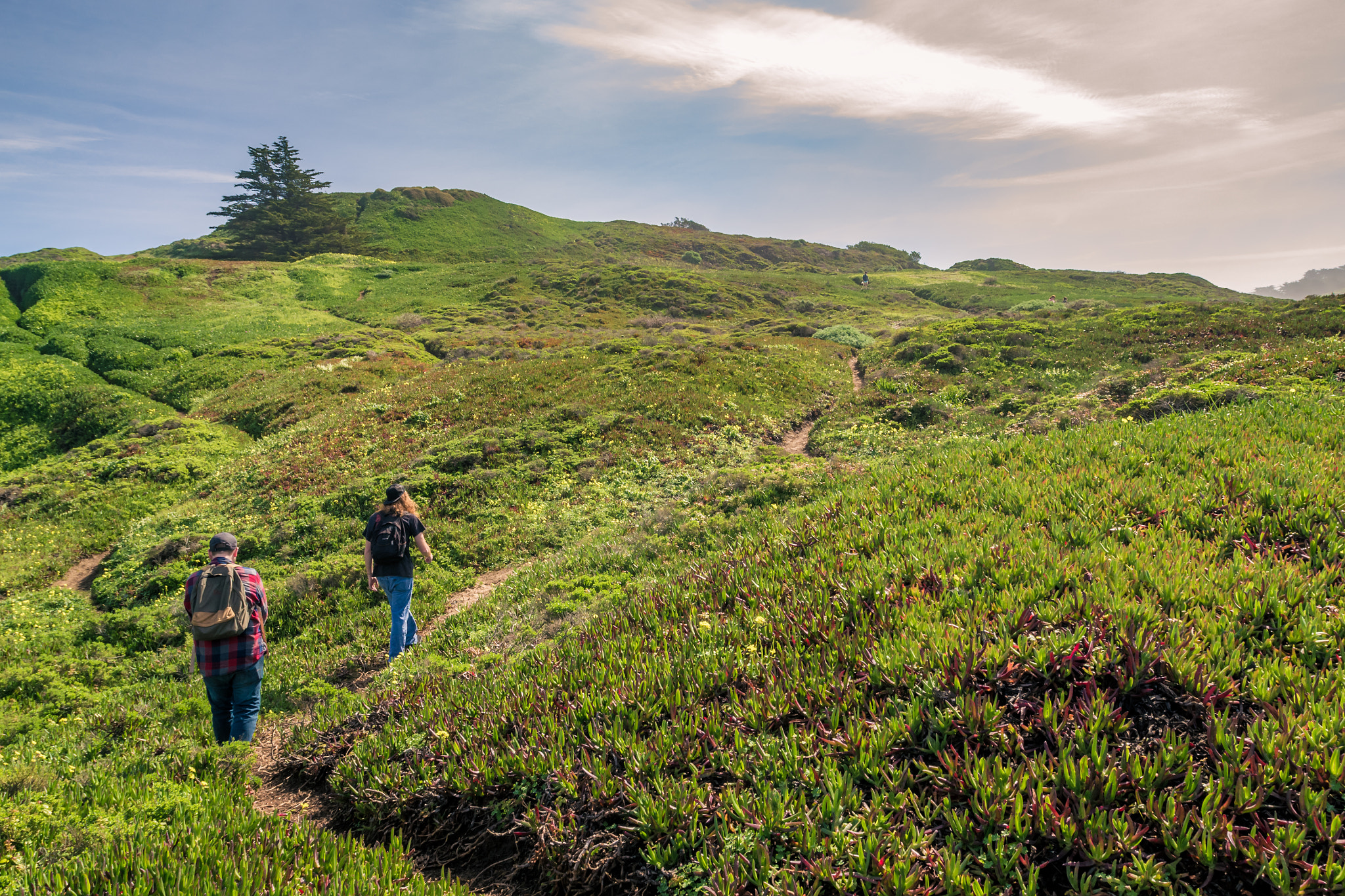 Nikon AF-S Nikkor 17-35mm F2.8D ED-IF sample photo. Sf walking the path by ronin dusette photography