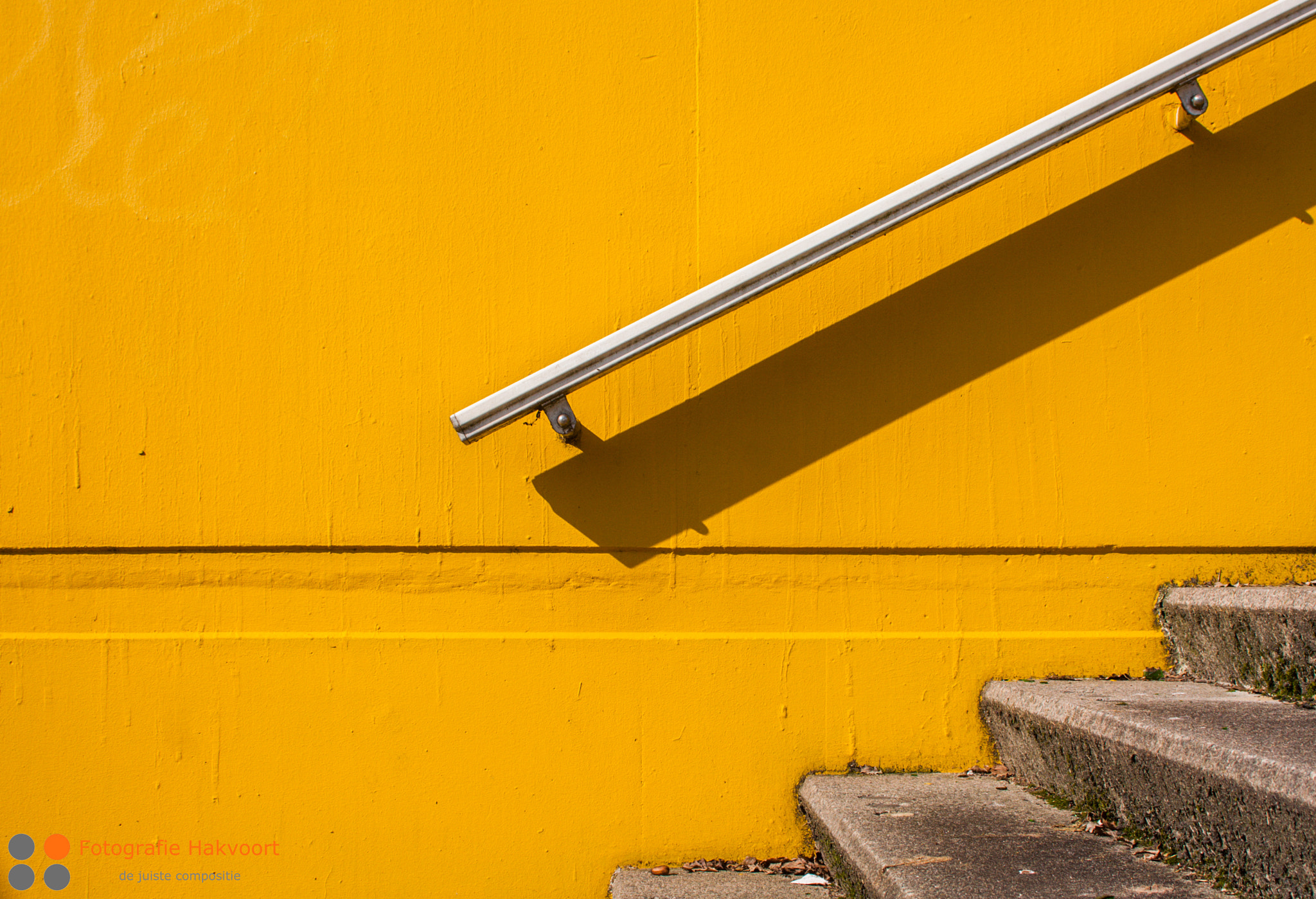 EF28-70mm f/2.8L USM sample photo. Yellow photography