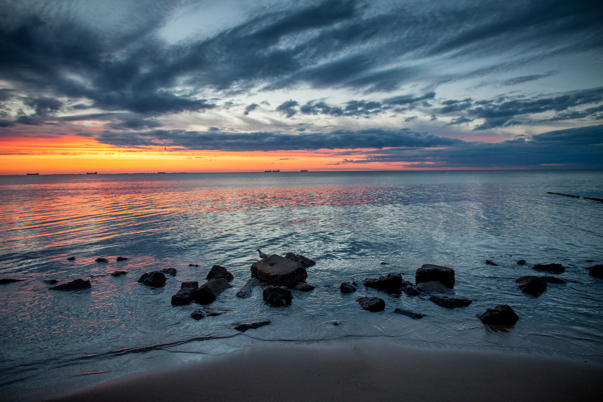 Canon EF 24mm F1.4L II USM sample photo. In the end of day photography