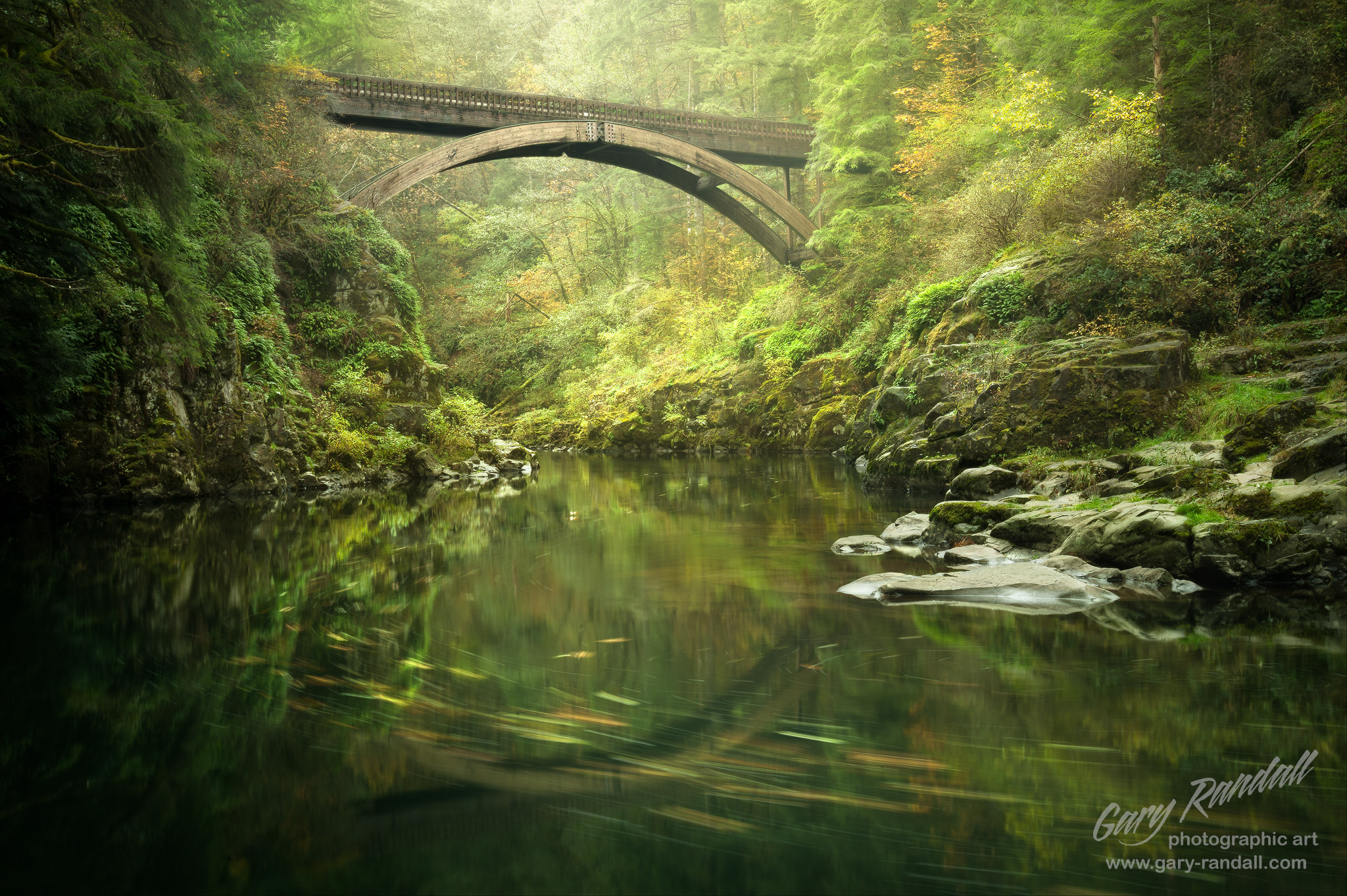 Nikon D3 sample photo. A beautiful bridge photography