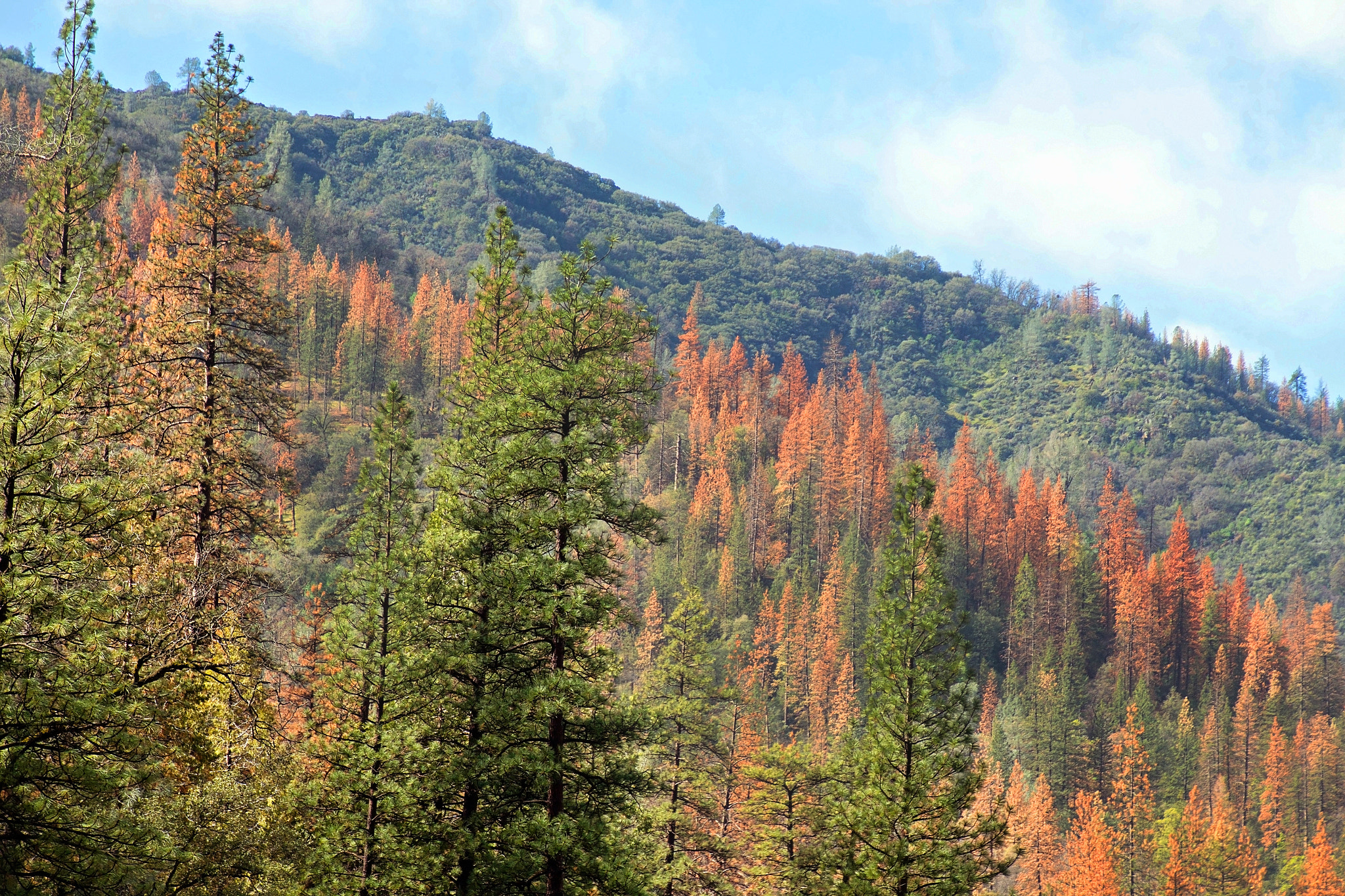 Canon EOS 650D (EOS Rebel T4i / EOS Kiss X6i) sample photo. Beautiful yosemite photography