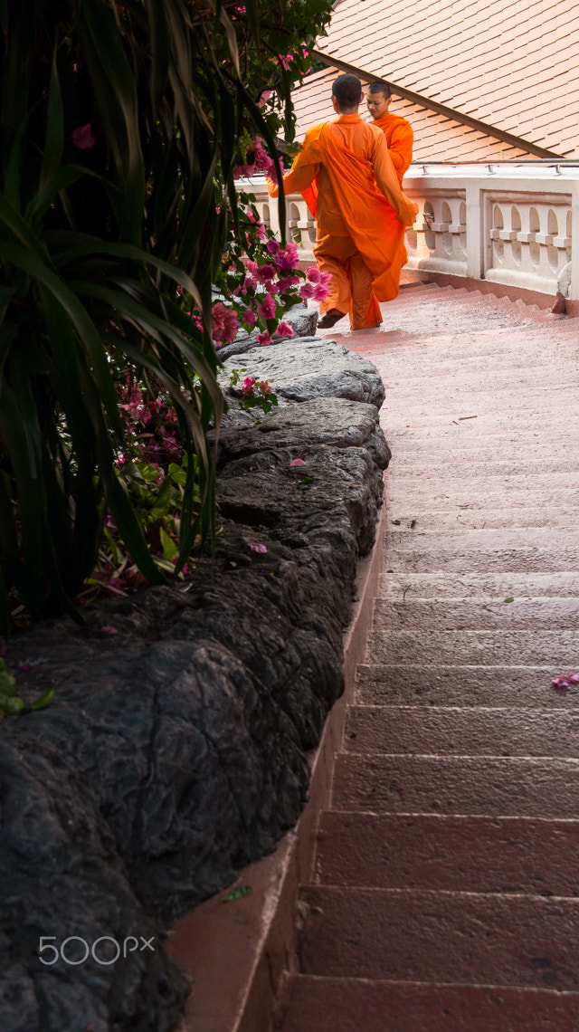 Panasonic Lumix G X Vario 12-35mm F2.8 ASPH Power OIS sample photo. Down to earth photography