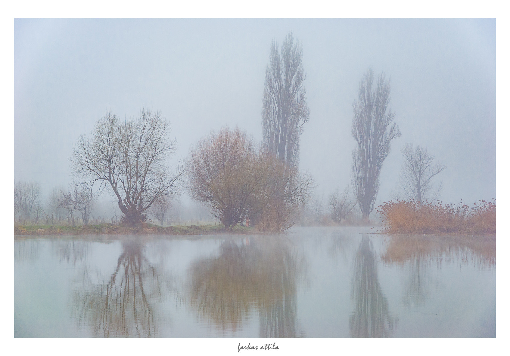 Nikon D60 sample photo. The backwater... photography