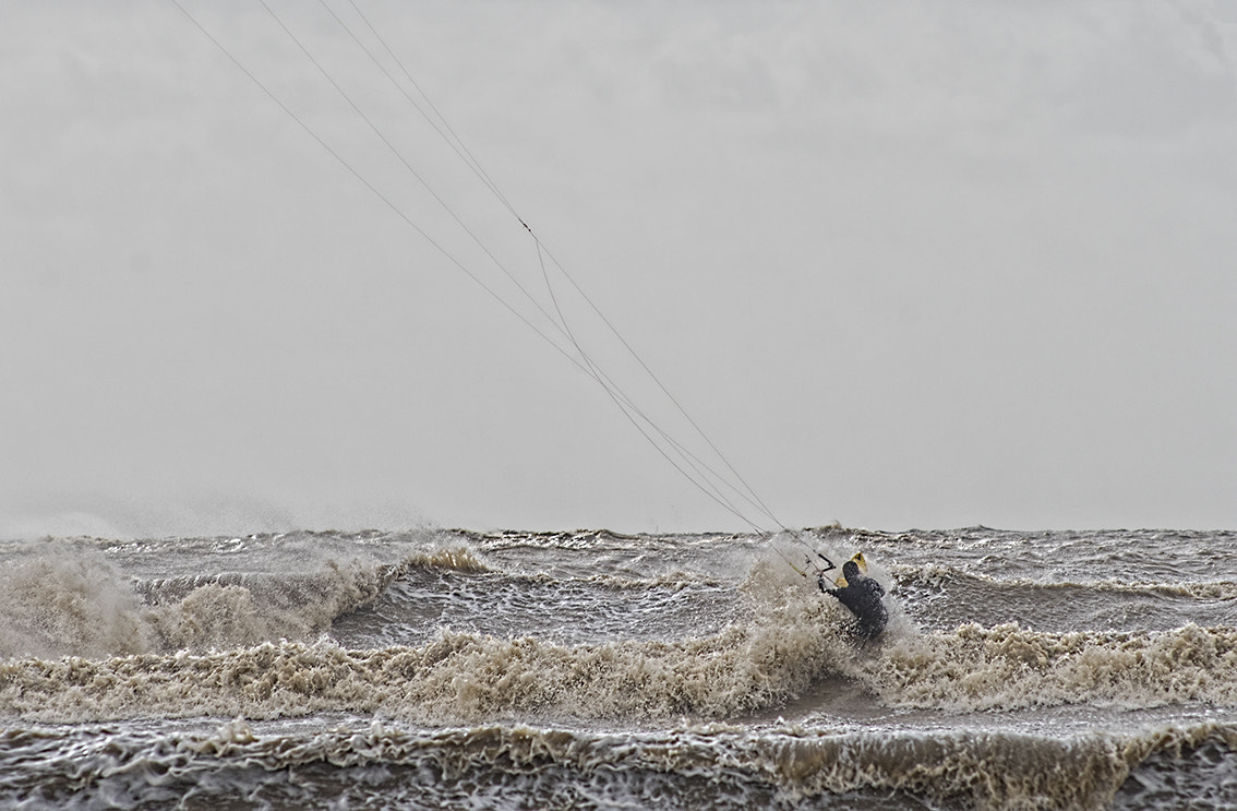 Nikon D750 + AF Nikkor 70-210mm f/4-5.6 sample photo. Entrée photography