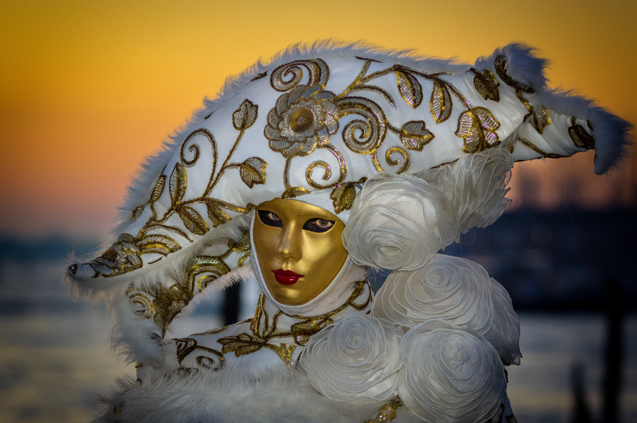 Pentax K-3 II + Pentax smc DA* 60-250mm F4.0 ED (IF) SDM sample photo. Venice masks photography