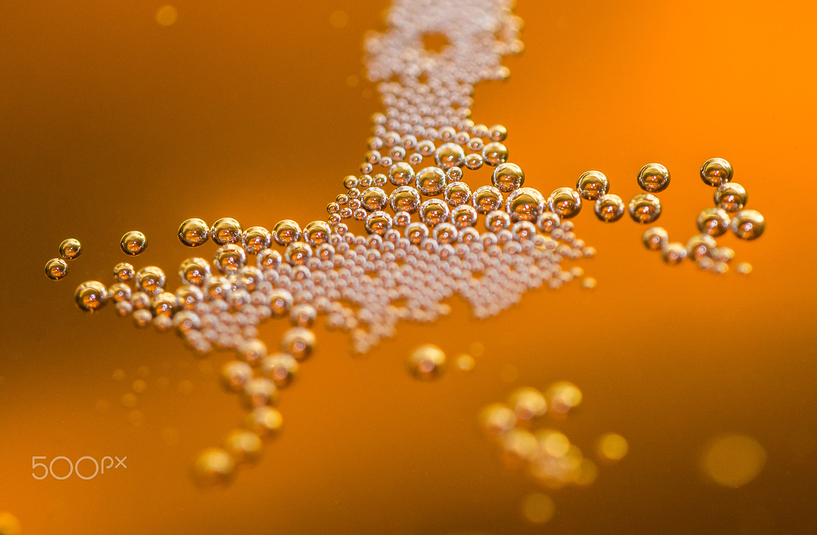 Panasonic Leica DG Macro-Elmarit 45mm F2.8 ASPH OIS sample photo. Bubbles photography