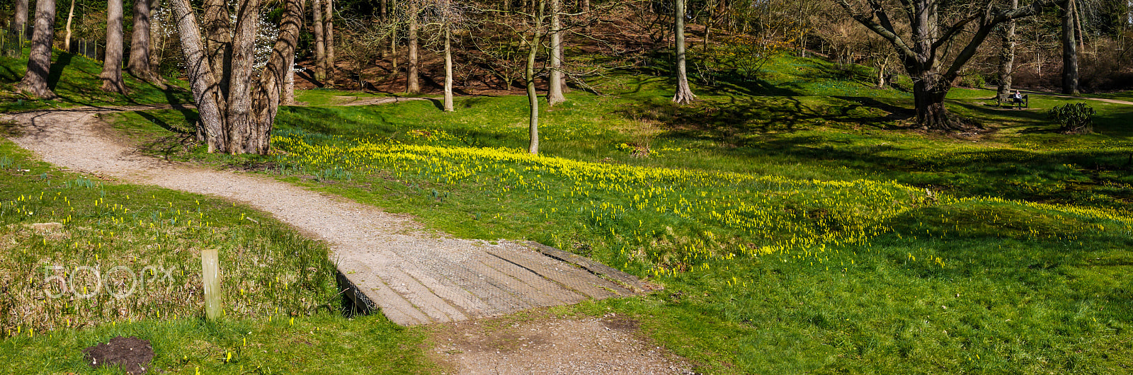 Panasonic Lumix DMC-GX7 + Panasonic Lumix G 20mm F1.7 ASPH sample photo. Savill garden panorama photography