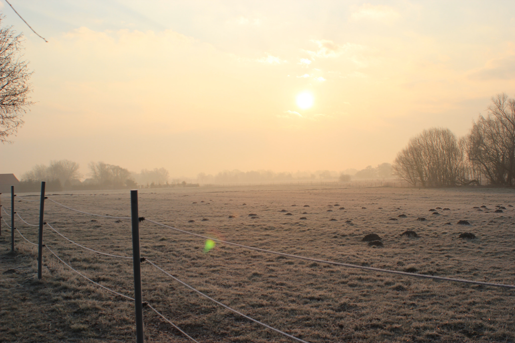 Canon EF 28-80mm f/3.5-5.6 sample photo. In the morning photography
