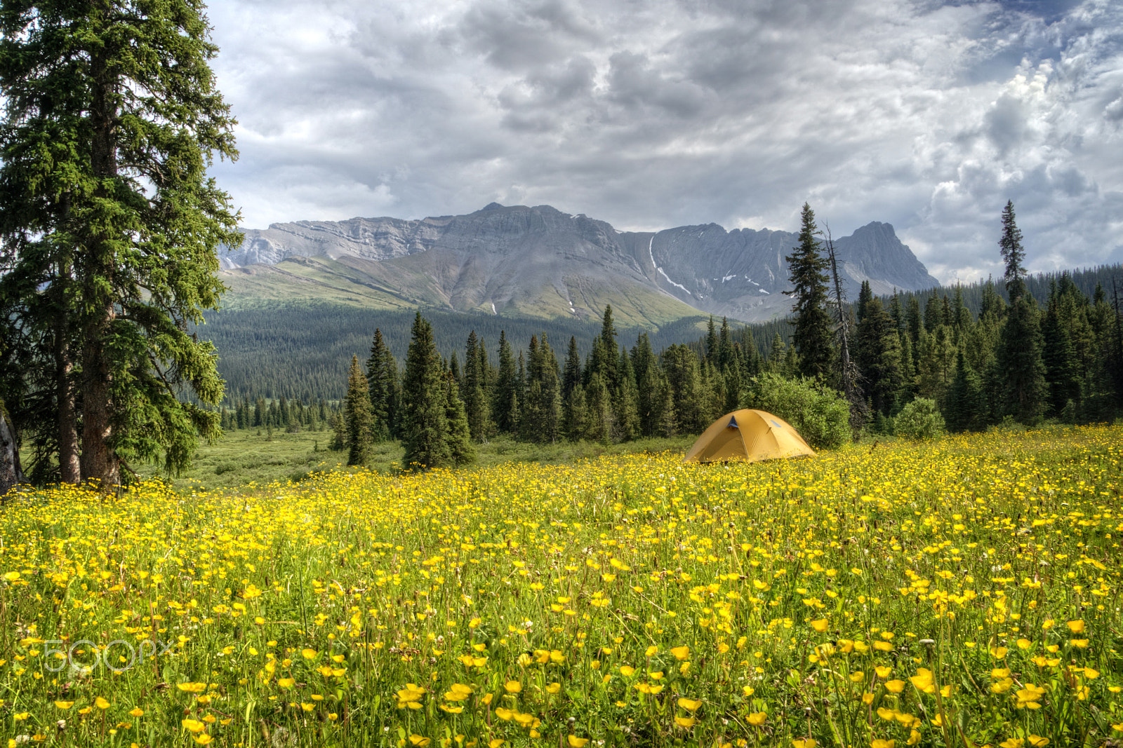 Sony a7R + Sony E 18-200mm F3.5-6.3 OSS sample photo. Tent in canadian rockies photography