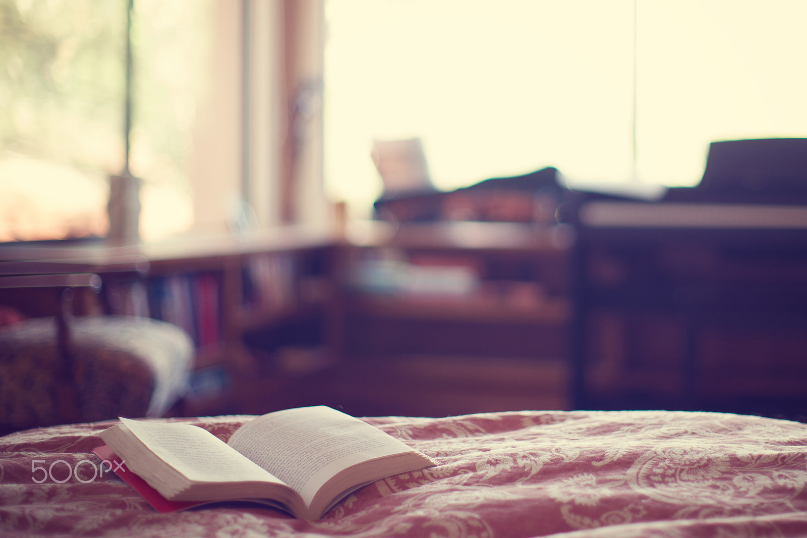 Sony 50mm F1.4 sample photo. Reading in bed photography