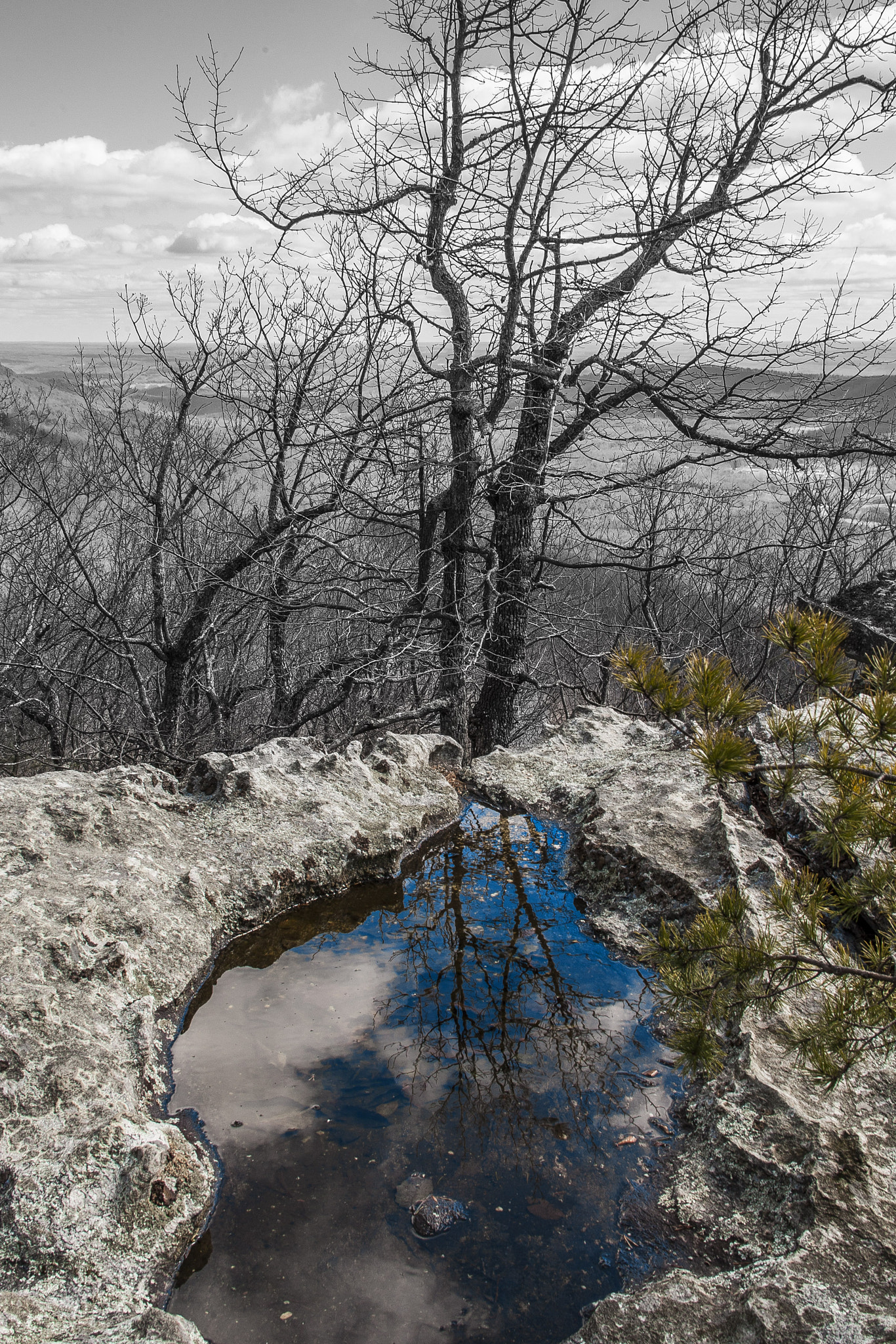 Canon EOS-1D Mark III sample photo. Blue reflection photography