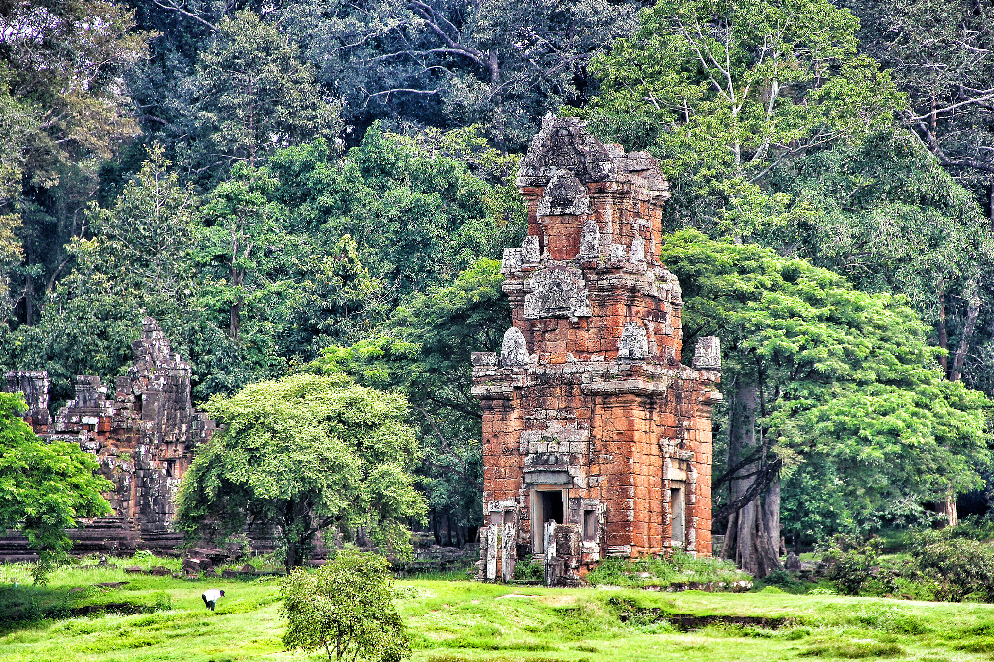 Canon EOS 550D (EOS Rebel T2i / EOS Kiss X4) + Canon EF-S 18-135mm F3.5-5.6 IS sample photo. Ankor wat photography