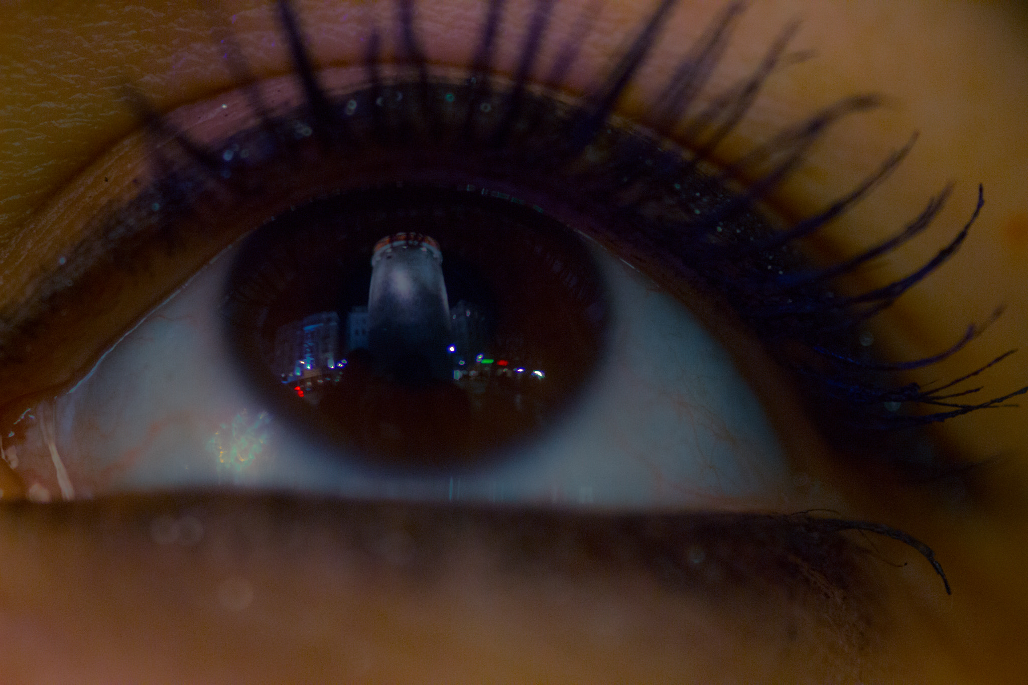 Canon EOS 600D (Rebel EOS T3i / EOS Kiss X5) + Sigma 105mm F2.8 EX DG Macro sample photo. Light reflection & eye photography