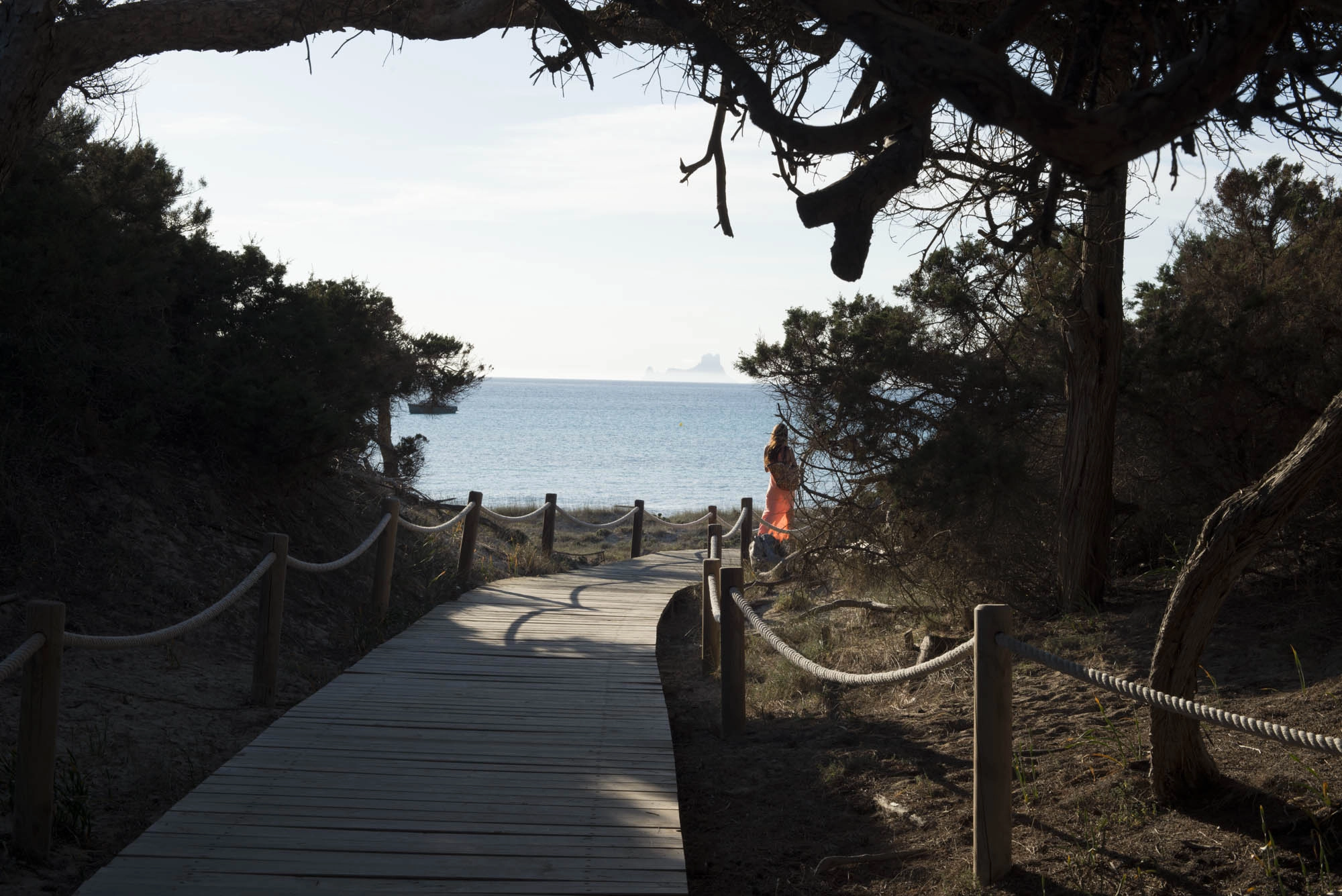 Nikon D800E + ZEISS Makro-Planar T* 50mm F2 sample photo. Sunset beach leady pink dress photography